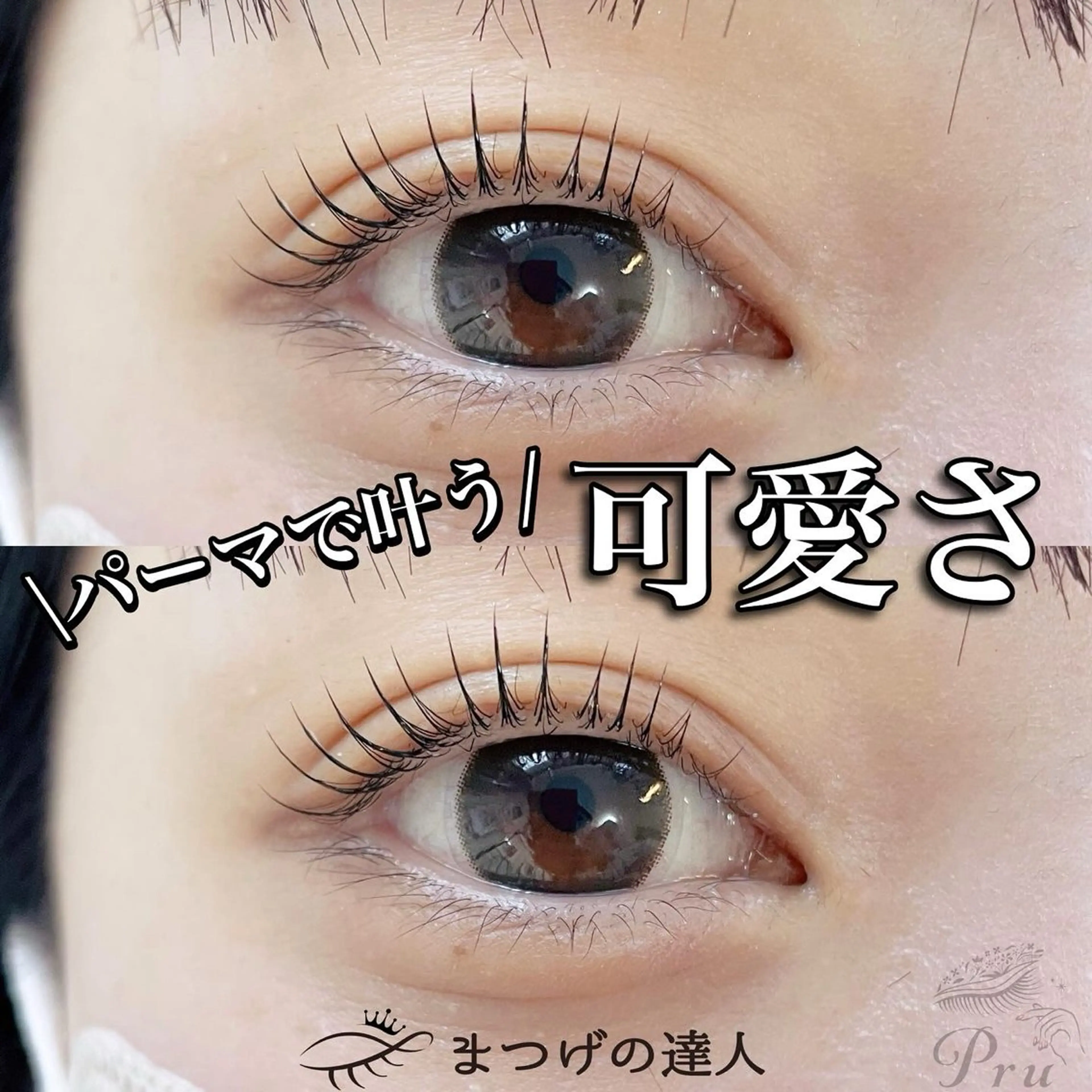 マツエク・マツパ マツパ プル eyelashのマツエク・マツパデザイン