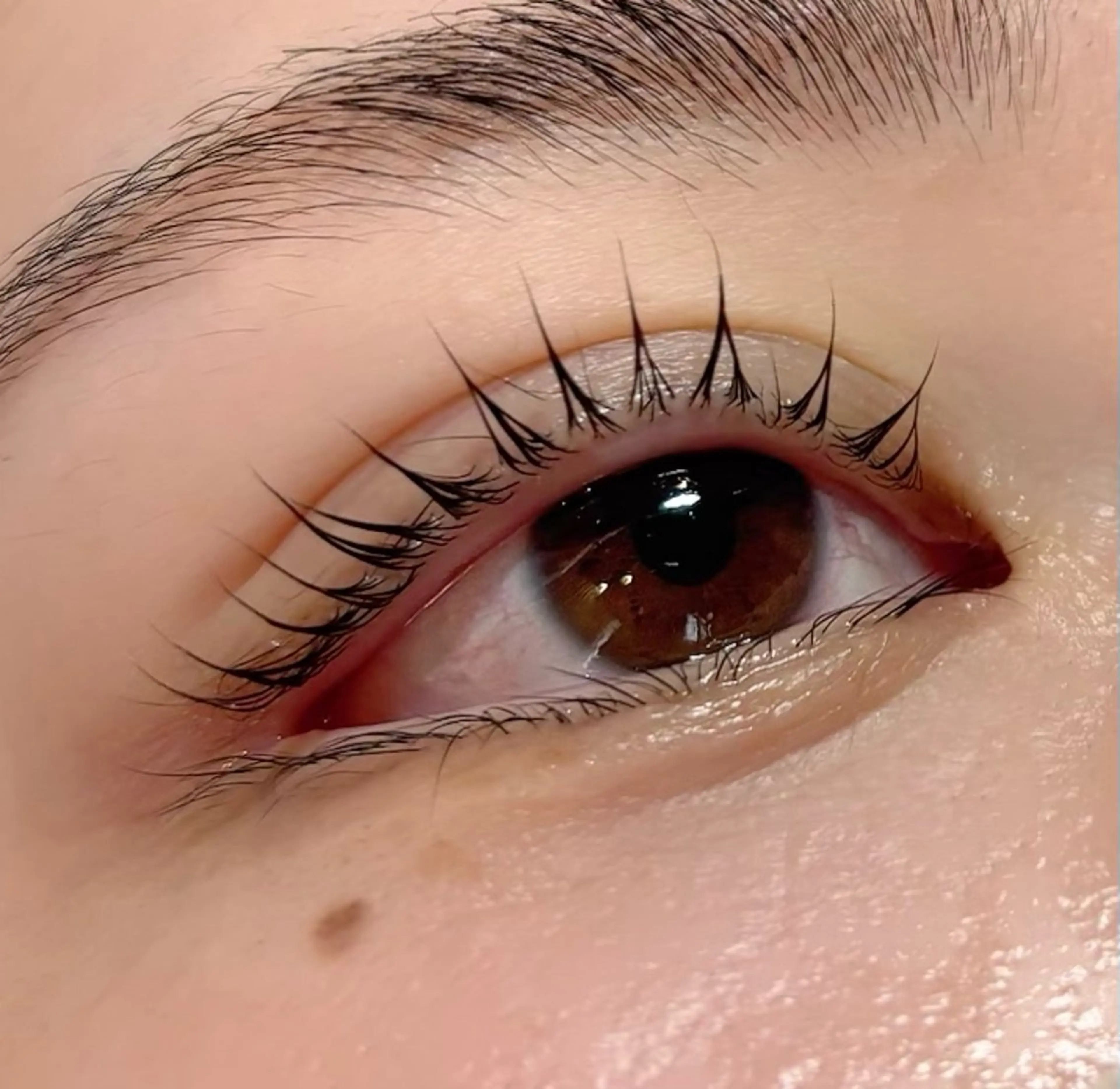 マツエク・マツパ Cカール まつげパーマ 安田 栞乃音のマツエク・マツパデザイン