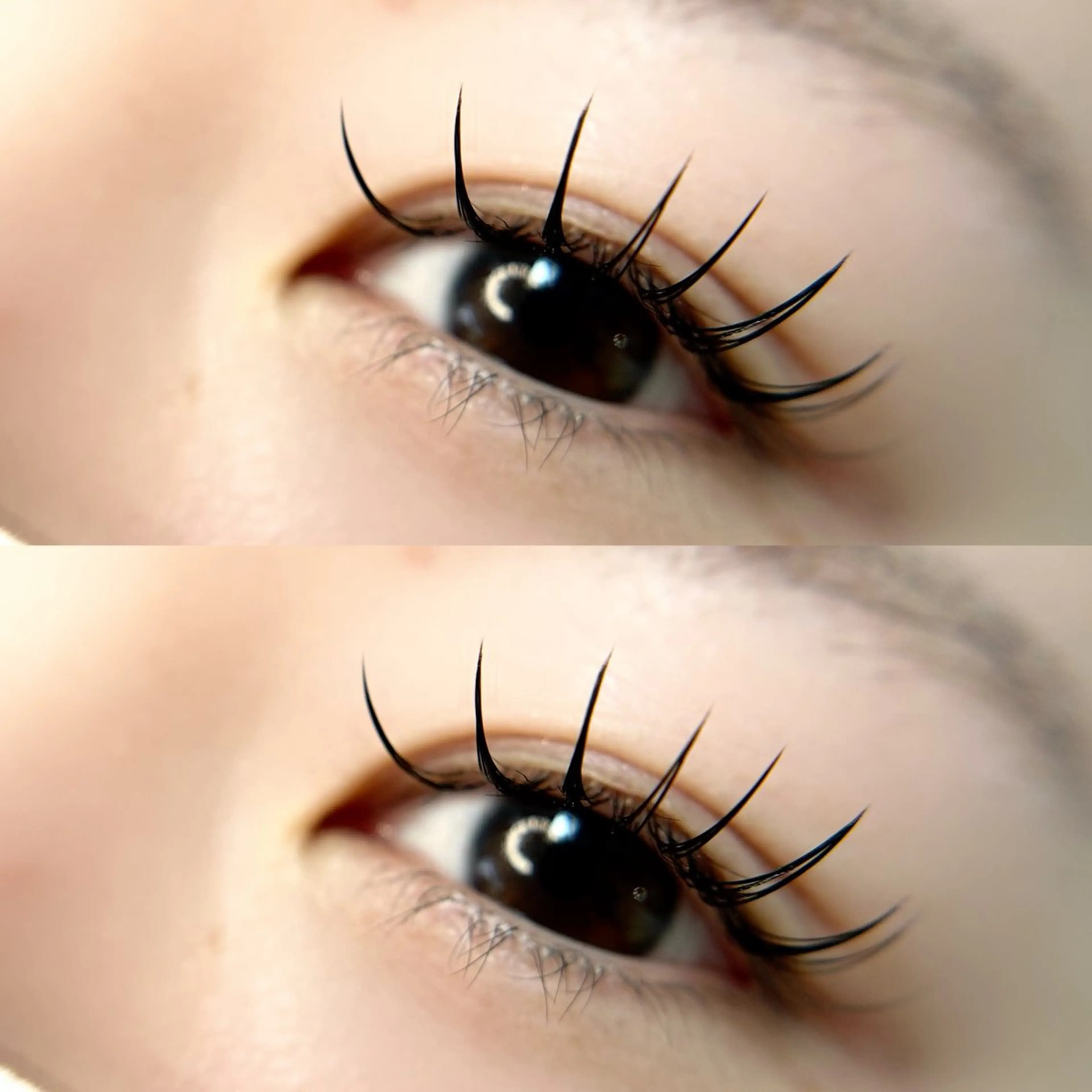 フラットラッシュ(マットブラック)~120本まで🌚🖤コーティング付き🎼🐈⬛オフ込の写真