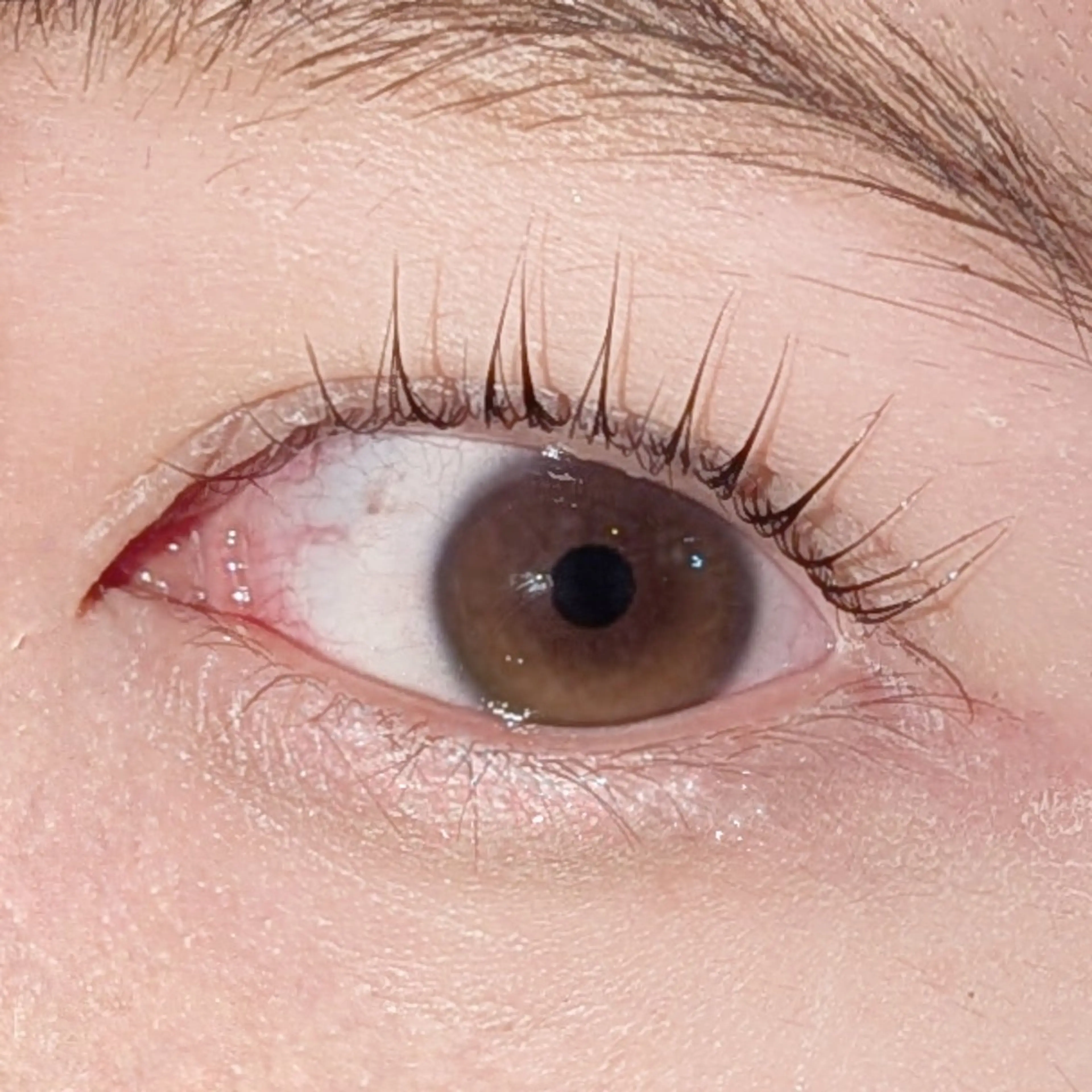 マツエク・マツパ リュープリエ所属・🎀心斎橋束感まつ毛 &美眉MOENO🎀のマツエク・マツパデザイン