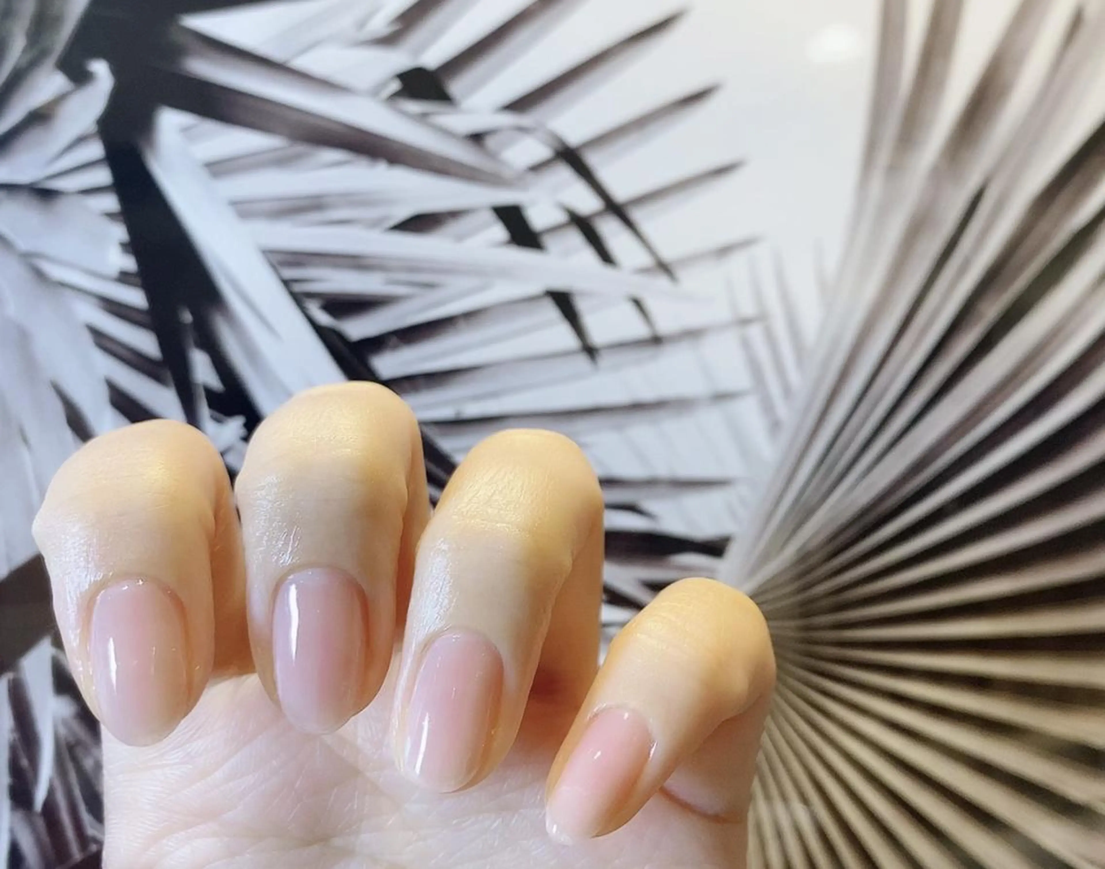 オフのみの写真