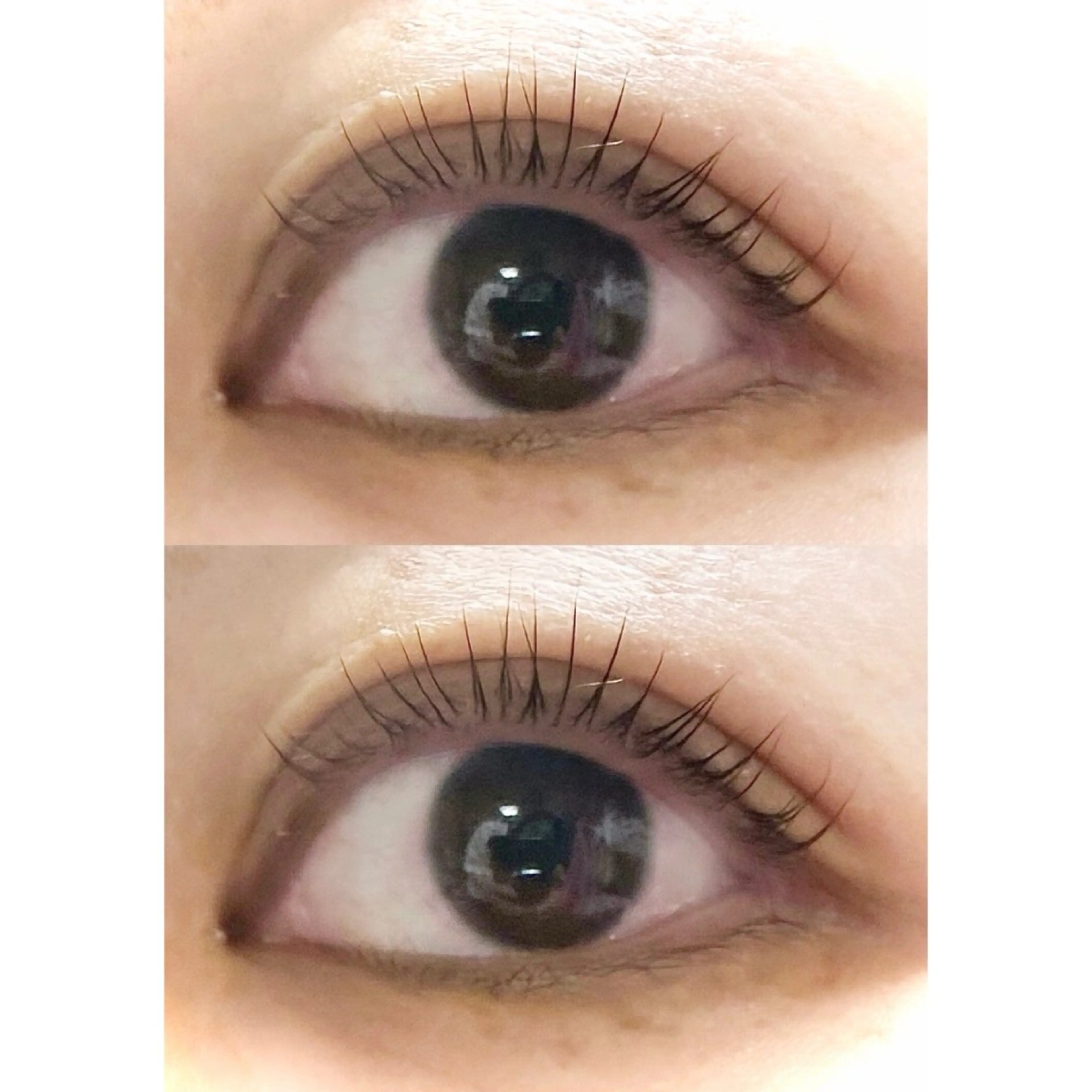 【急募💨】まつ毛パーマモデル様募集🩵🫧‪の写真