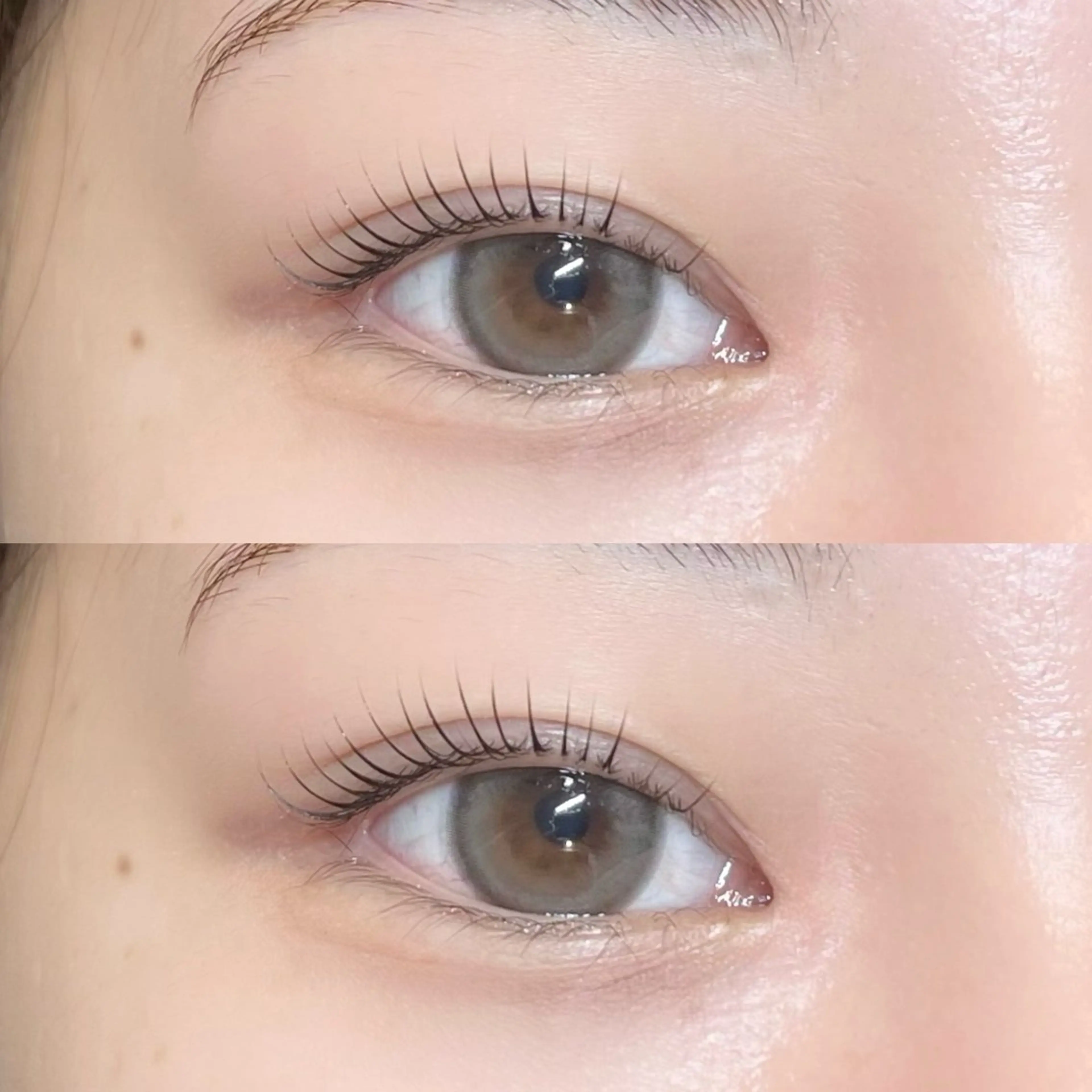 マツエク・マツパ 𝒆𝒊𝒈𝒉𝒕 杏花のマツエク・マツパデザイン