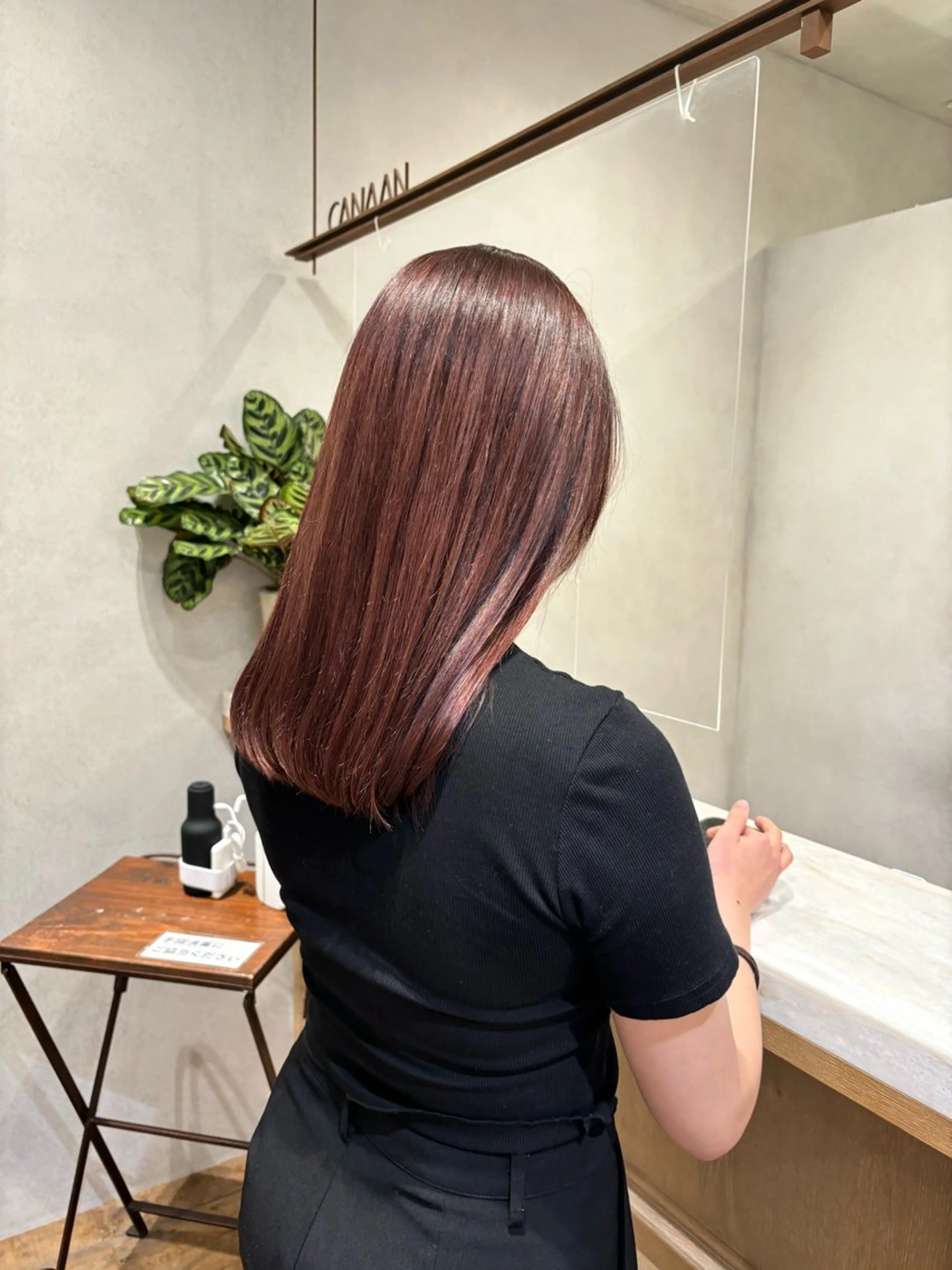 🎀4stepトリートメント➕20分ヘッドスパ🩵ホームケア用トリートメント付き🎀の写真