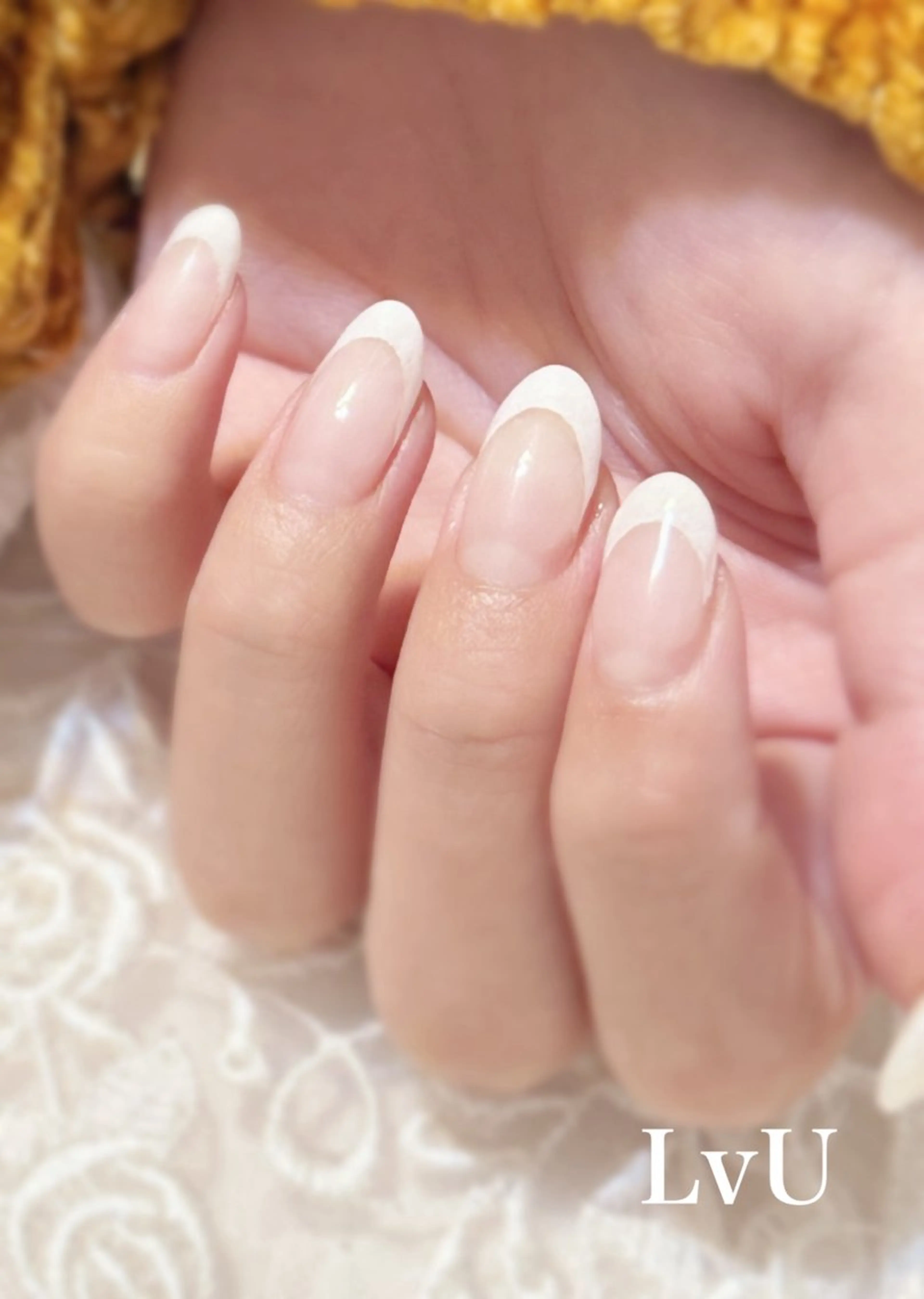 フレンチ(クリアベース)【オフなし】の写真