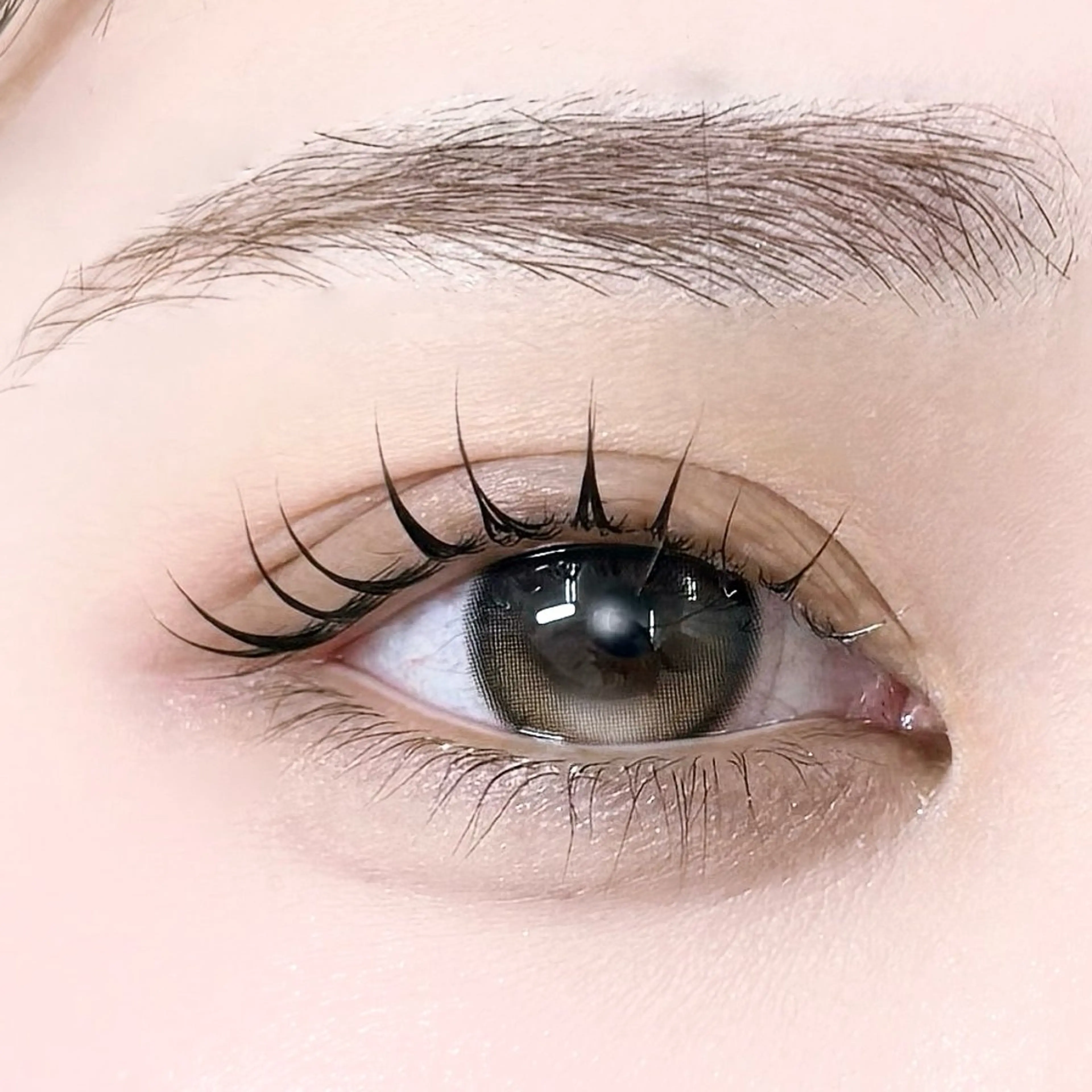 【平日限定】まつげパーマorパリジェンヌ🎀コーティング付の写真