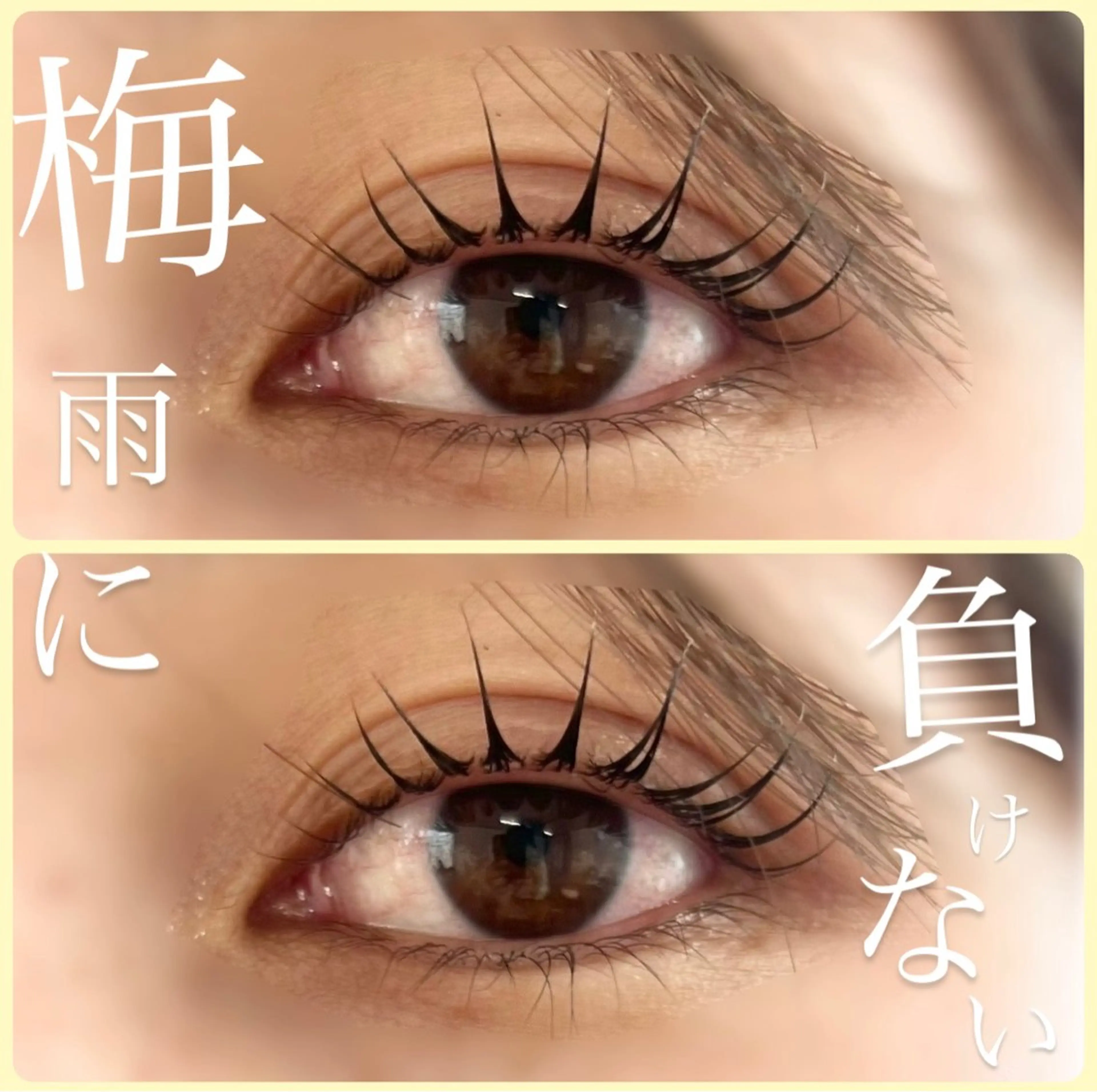 マツエク・マツパ マツパ rEINEまつ毛パーマ（カール）所属・与那原東浜rEINE まつ毛パーマのマツエク・マツパデザイン