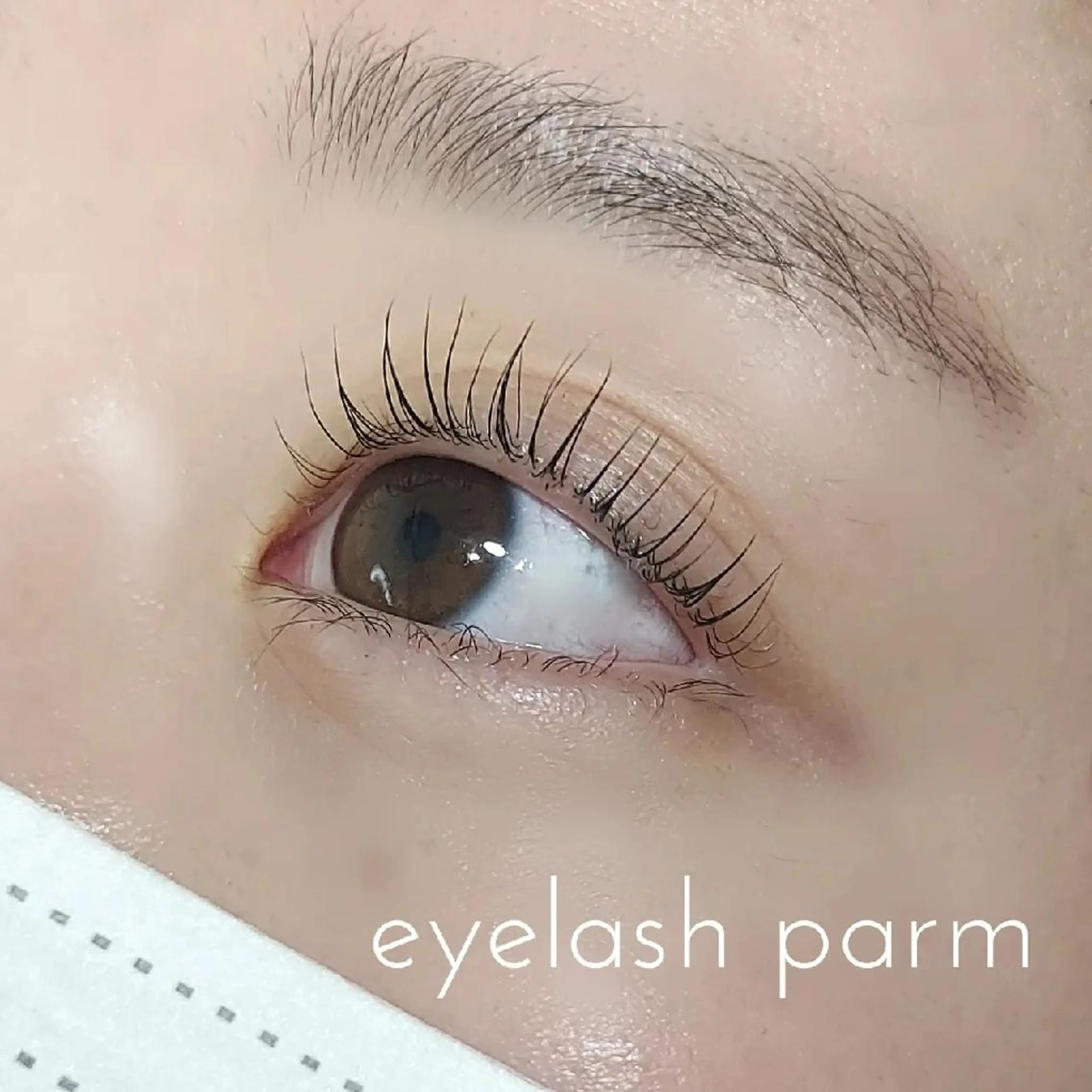 マツエク・マツパ Loar所属・Loar 大出のマツエク・マツパデザイン