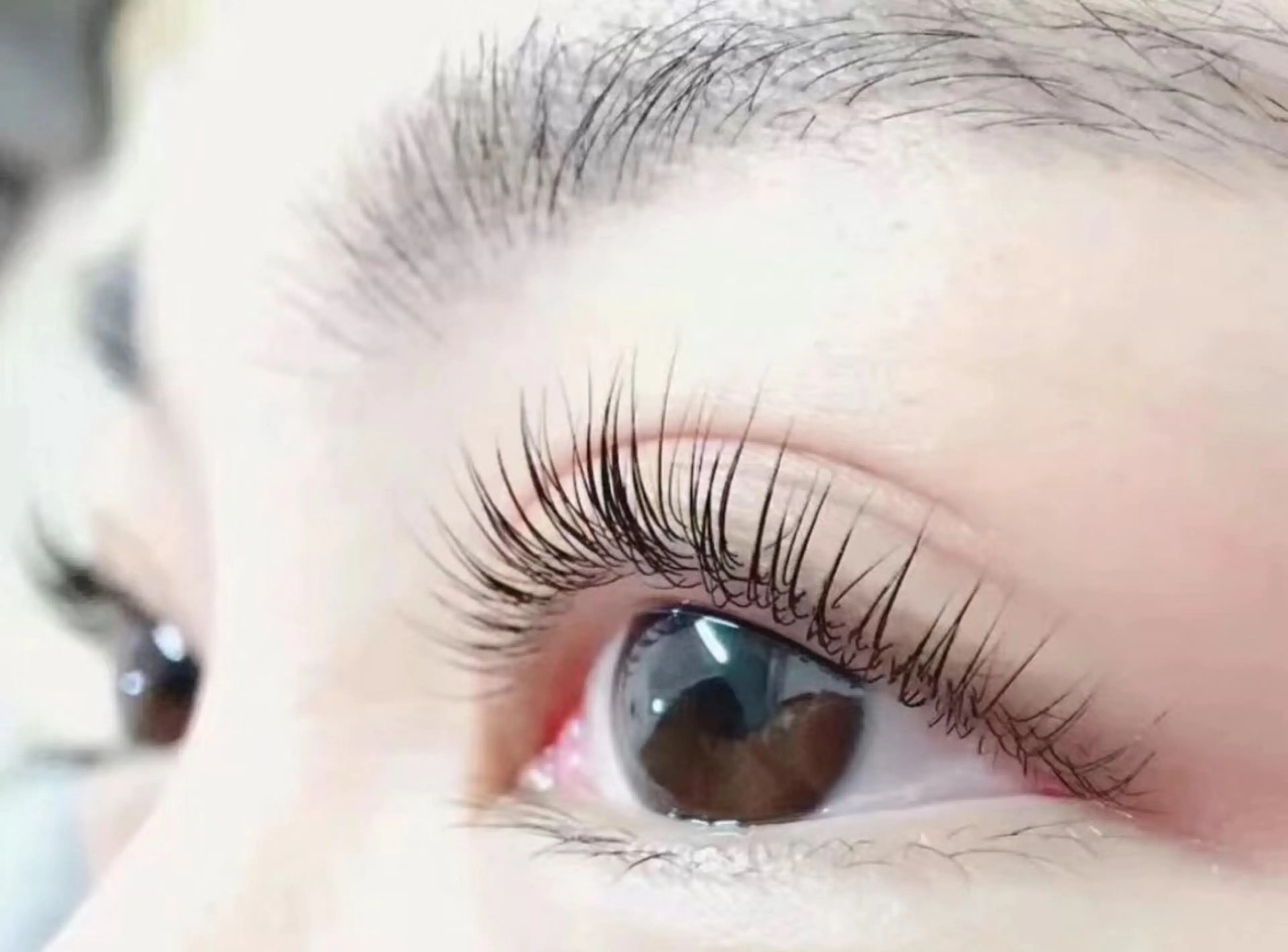 🉐期間限定 🎀ケラチンラッシュリフト 🌸次世代まつげパーマ　（上）アイパック付き　👉3️⃣8️⃣0️⃣0️⃣❤️の写真