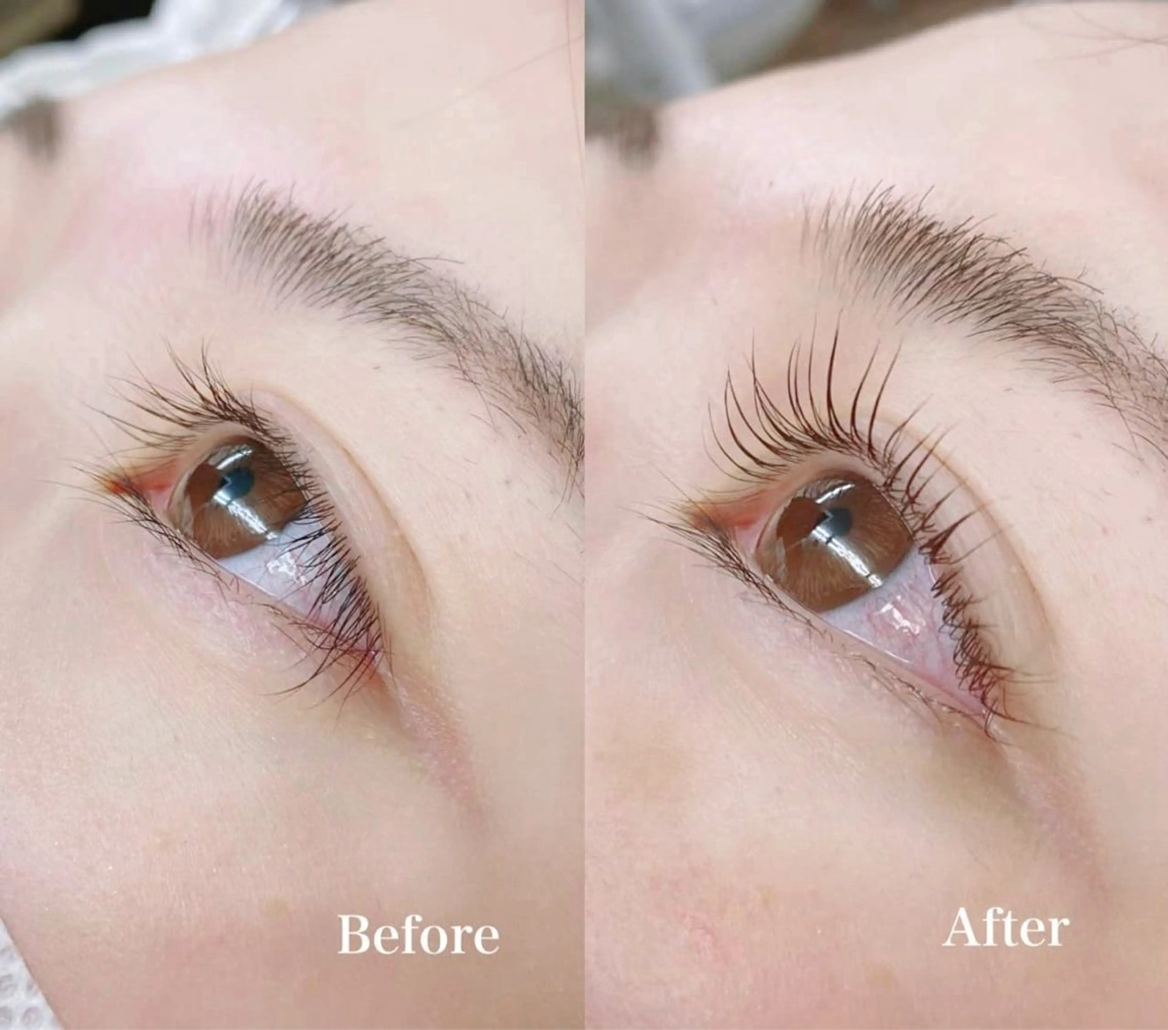 🩶平日限定🩶 まつ毛パーマの写真