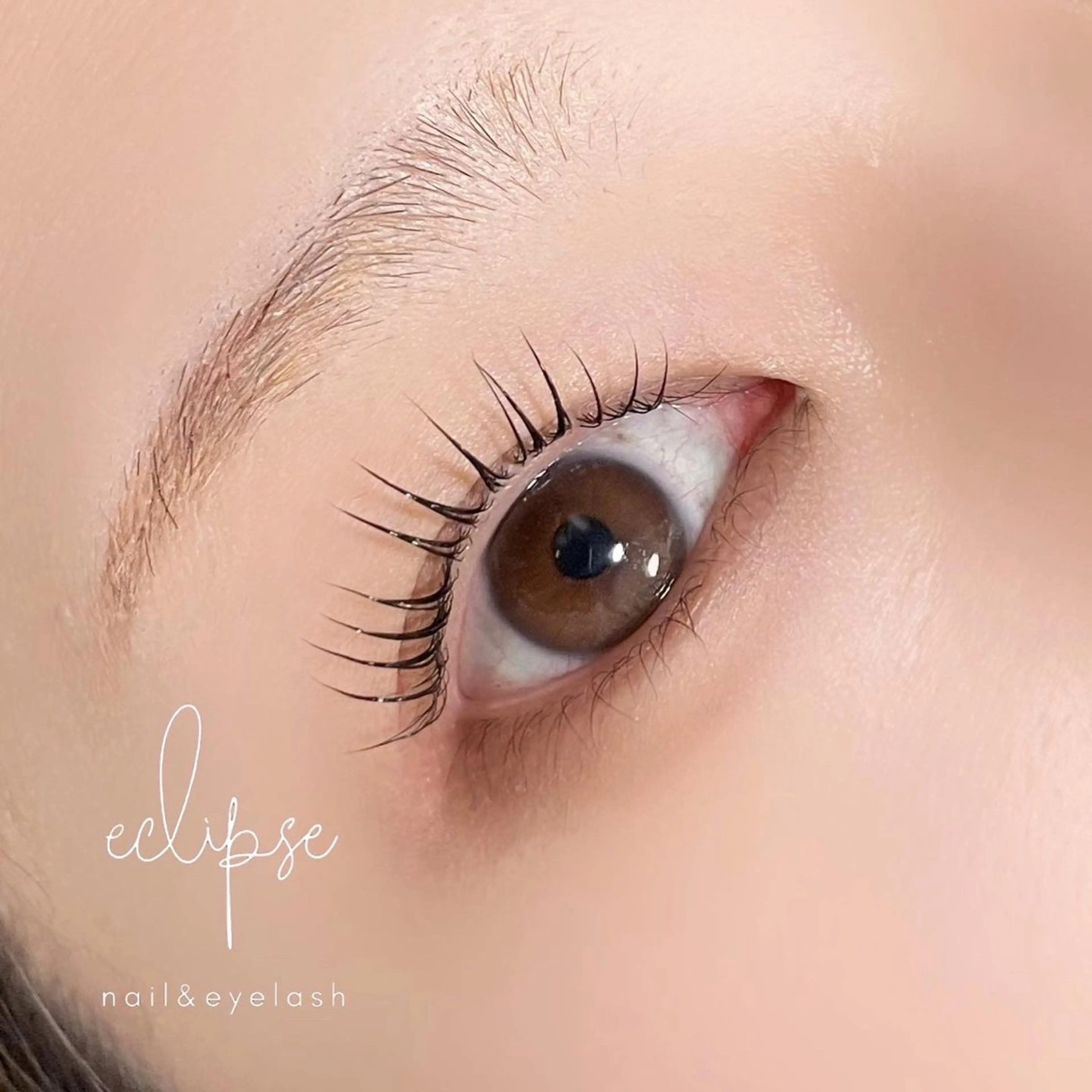 マツエク・マツパ マツパ eclipse eyelashのマツエク・マツパデザイン