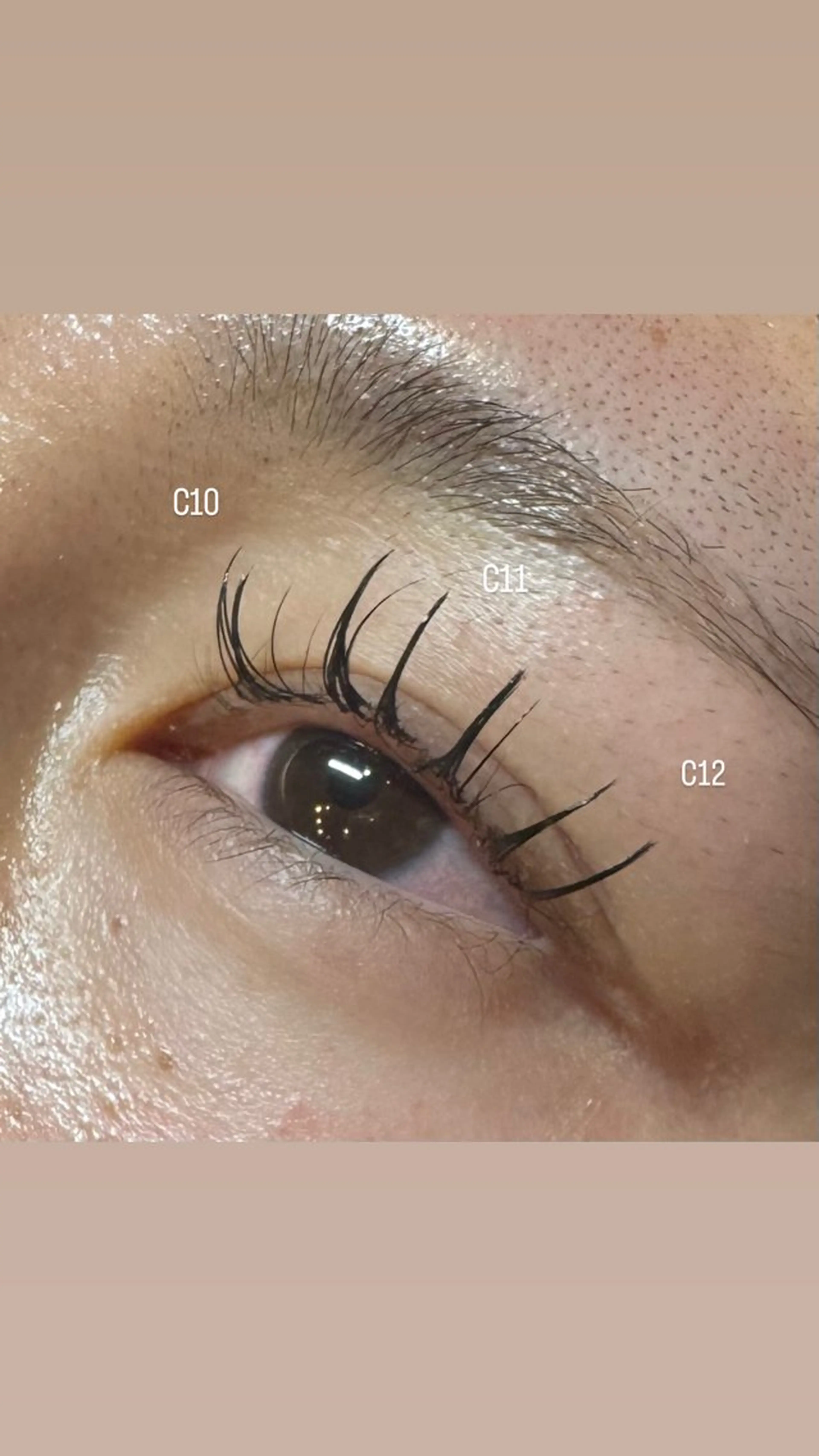 【練習モデル】フラットラッシュ 80本の写真