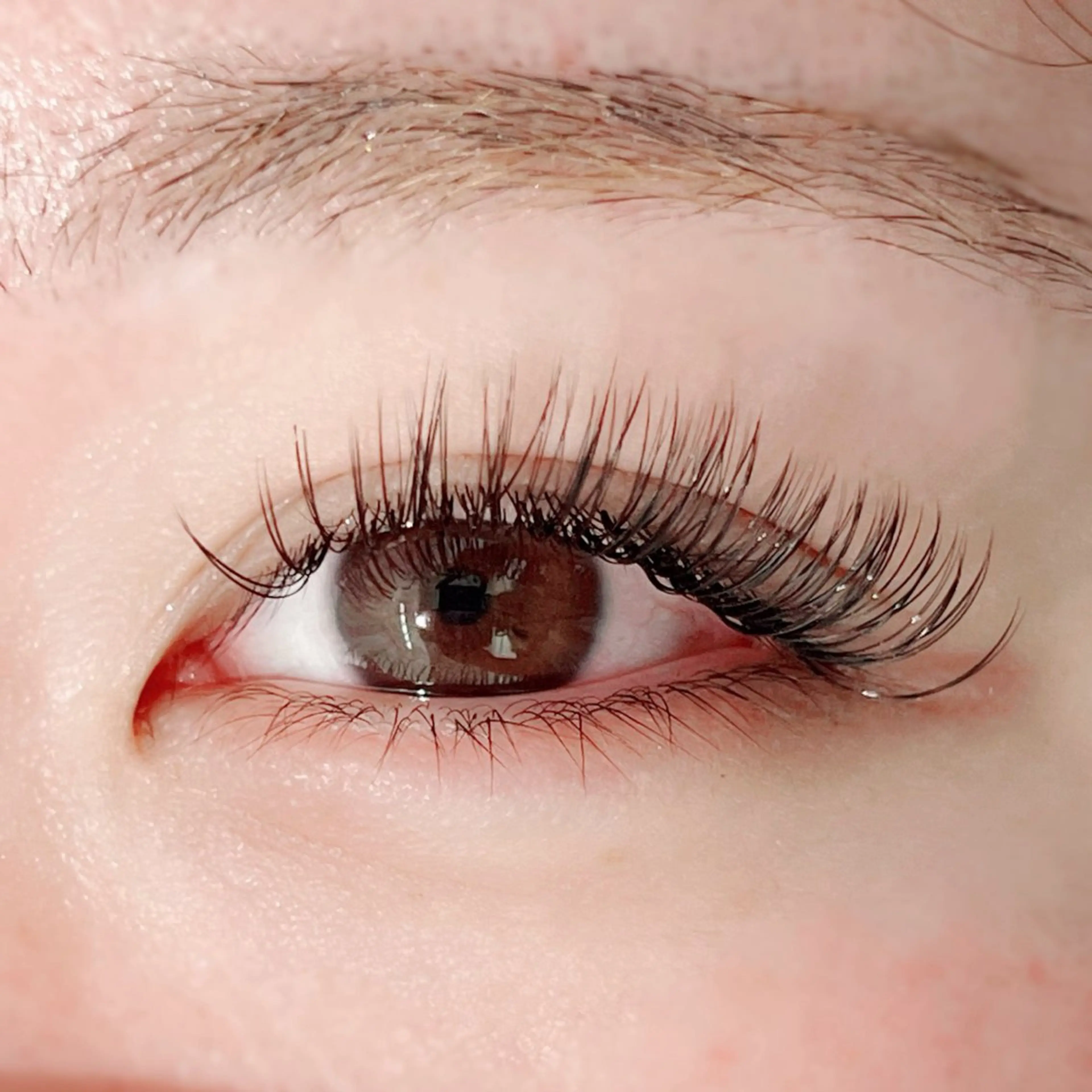 ⛓❤️‍🔥バインドロック❤️‍🔥⛓ 【80束】オフ込み🌟お仕上げコーティング付き🪄︎︎✨の写真