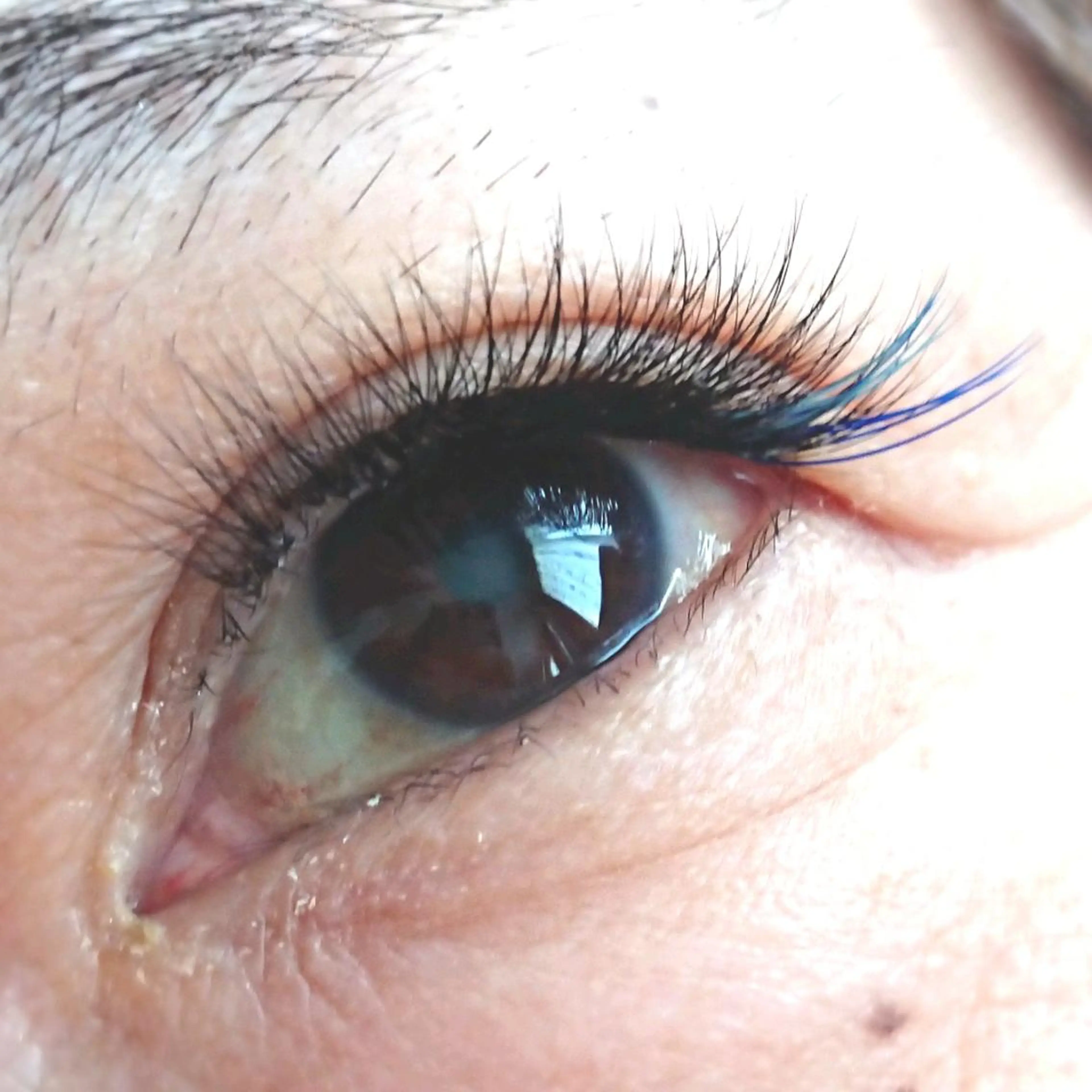 マツエク・マツパ ナチュラル ボリュームラッシュ ビューティーサロン ViVi所属・☆ViVi☆ Seinaのマツエク・マツパデザイン