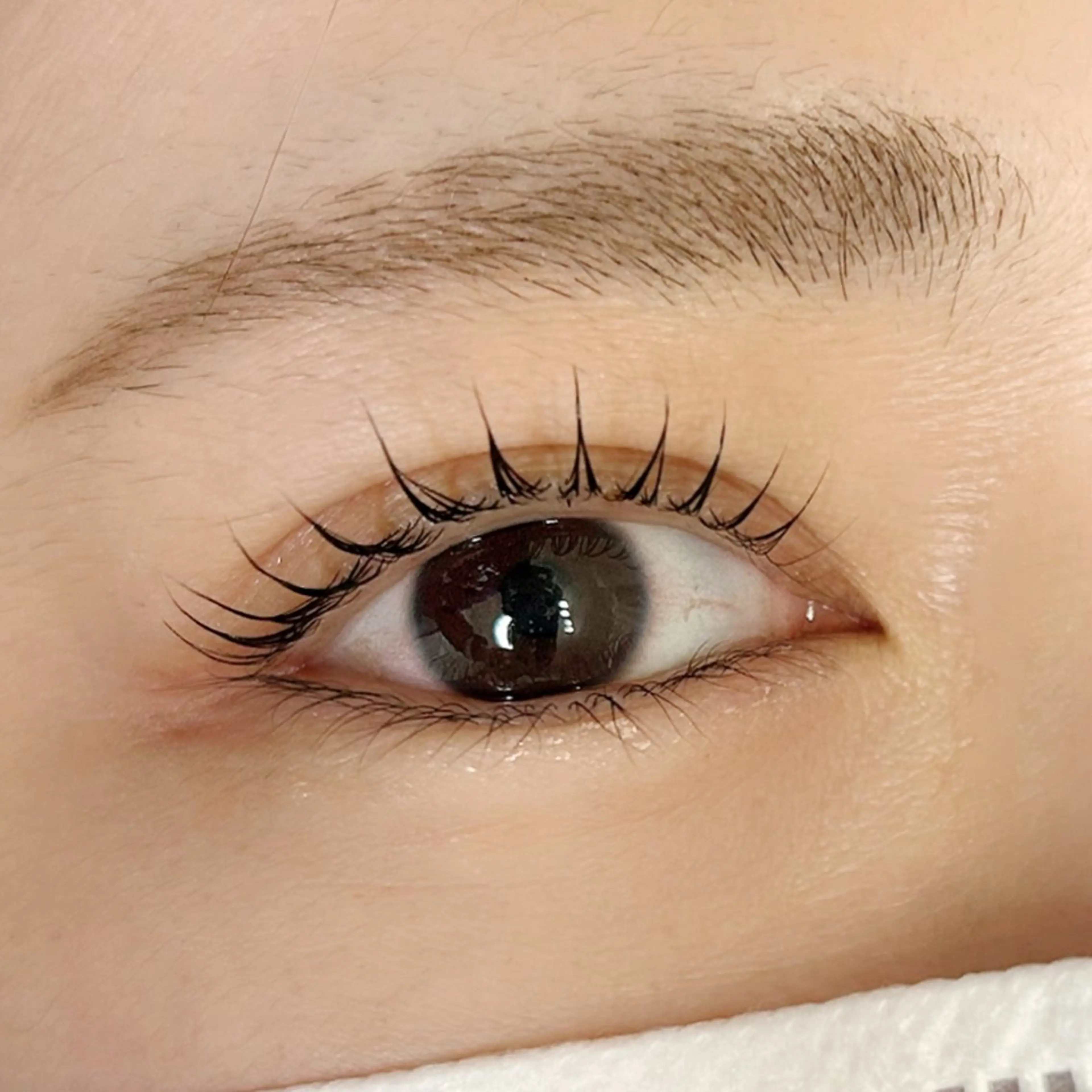 選べるまつげパーマ(11/30まで限定アイシャンプー＆トリートメントつき)の写真