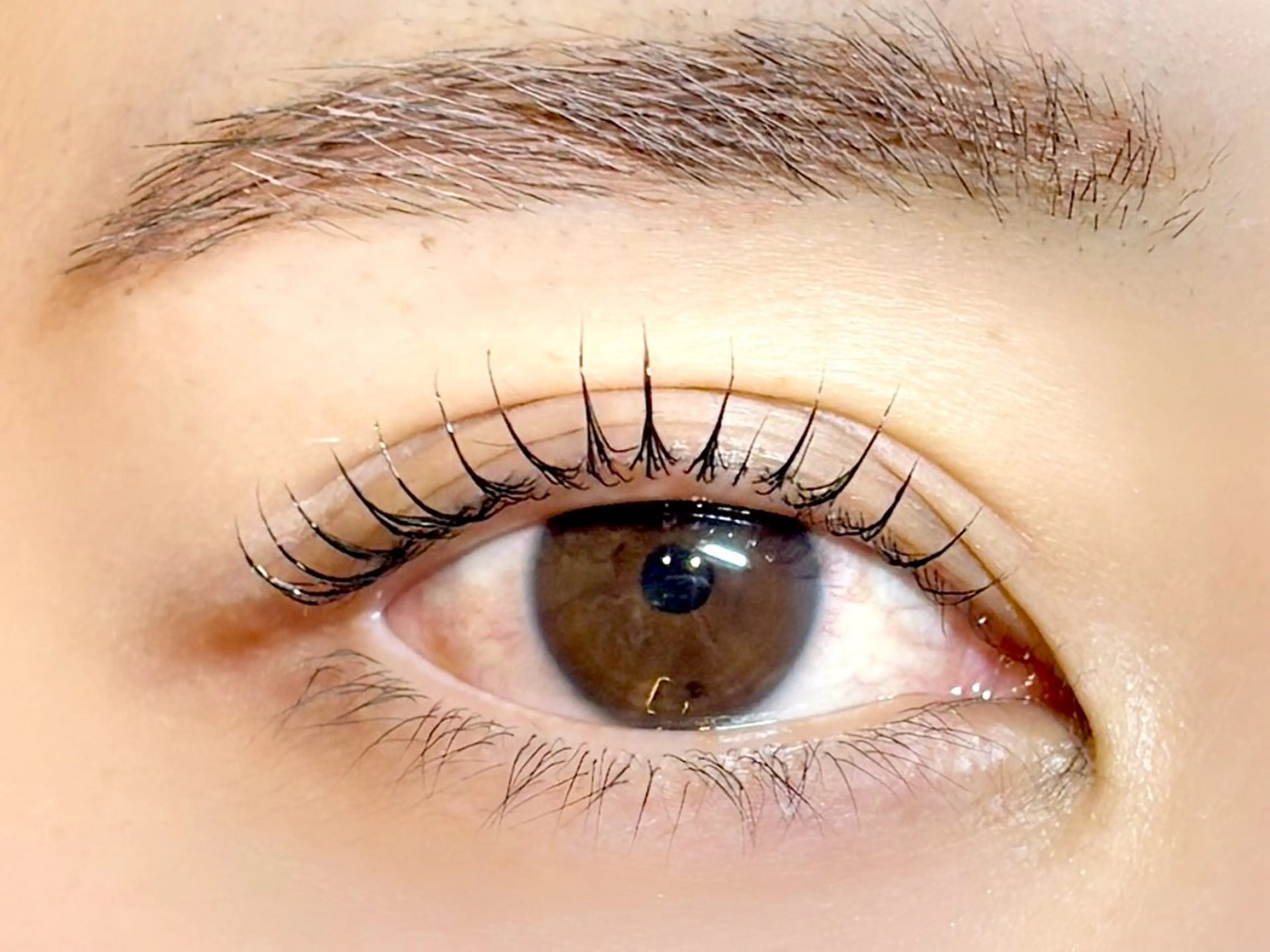 マツエク・マツパ ナチュラル パリジェンヌラッシュリフト まつげパーマ 一重×まつ毛パーマ 表参道eyelist KONOMIのマツエク・マツパデザイン