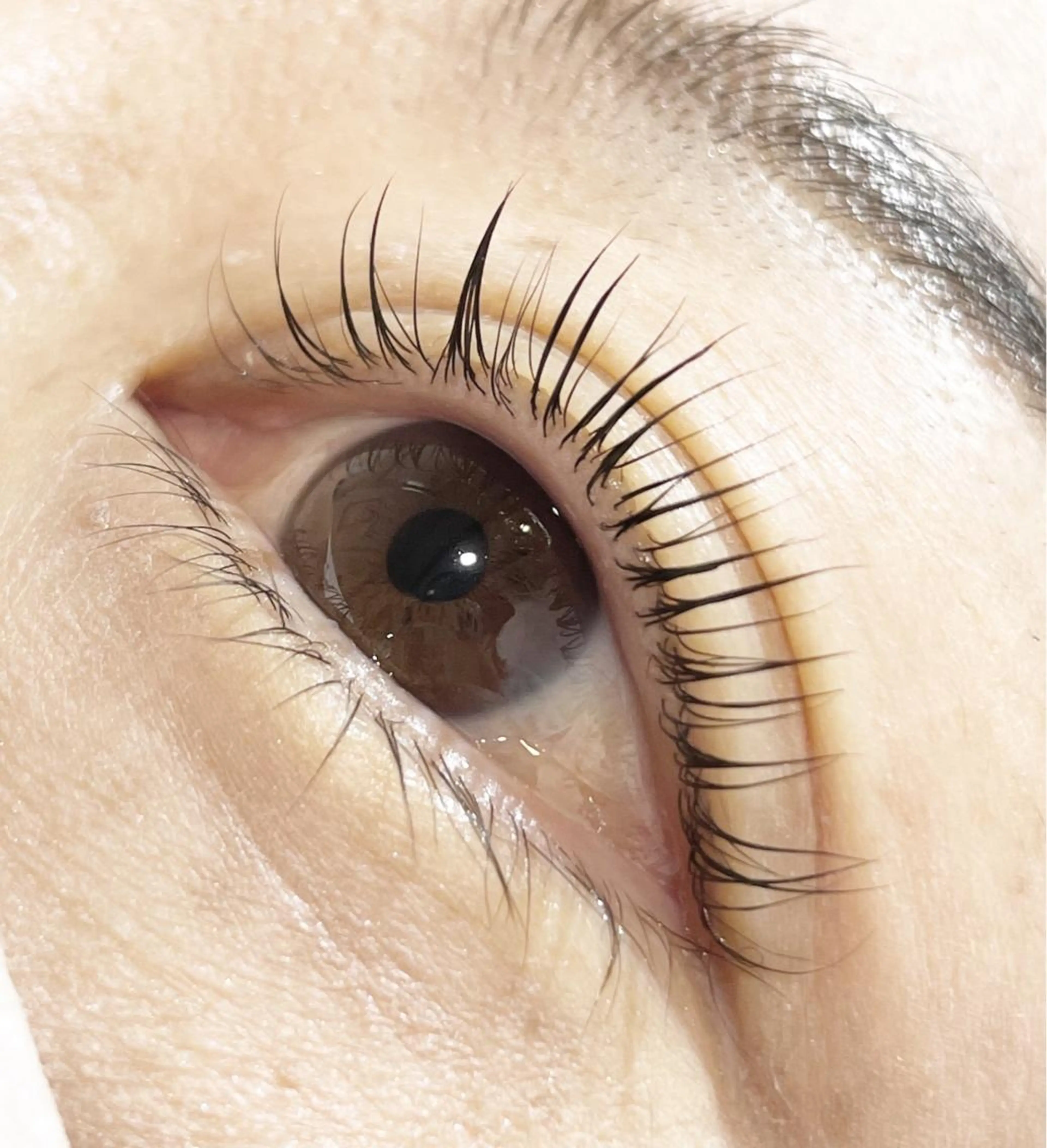 まつ毛パーマの写真