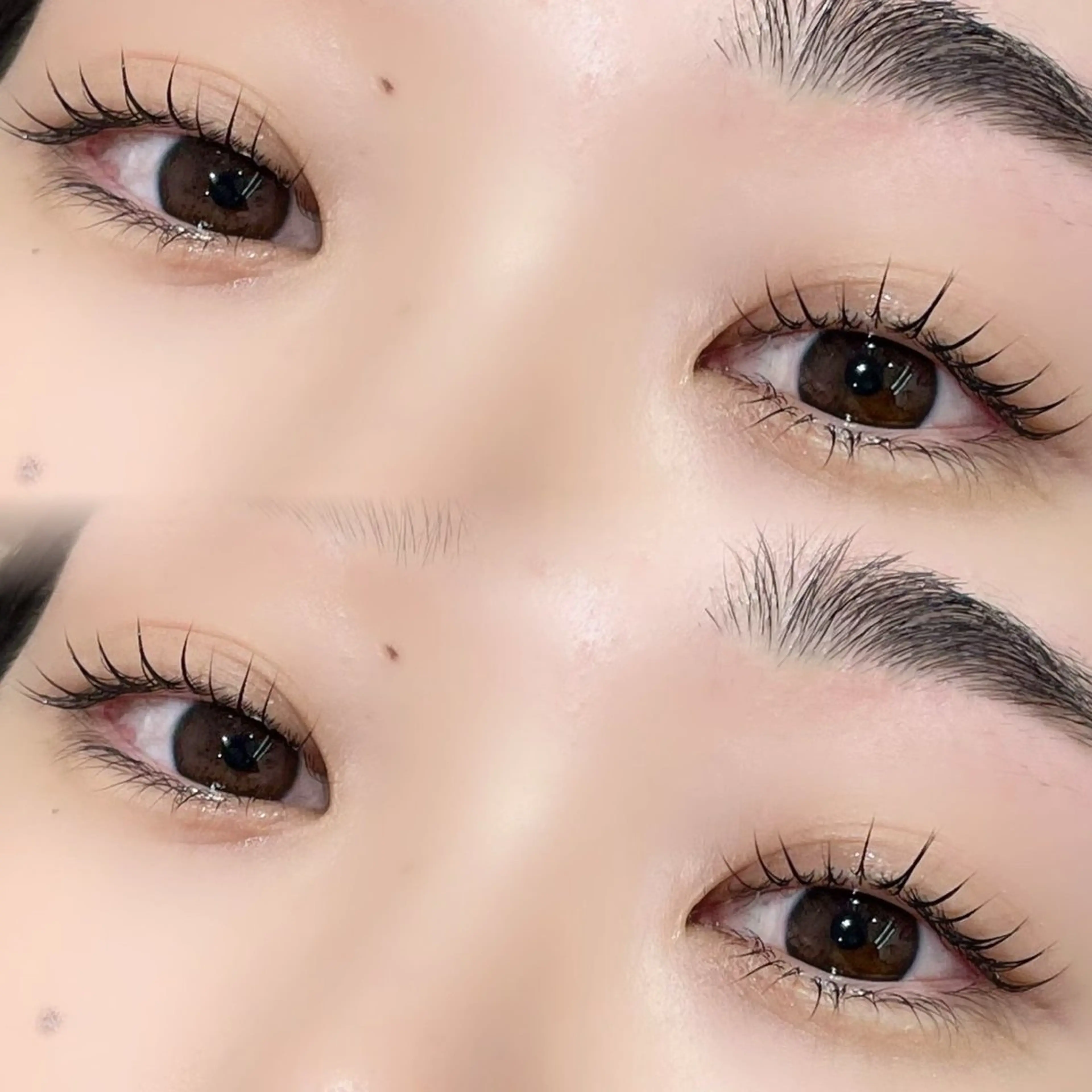 12月限定学割韓国ロッド束感マツゲパーマ🎄🎀の写真