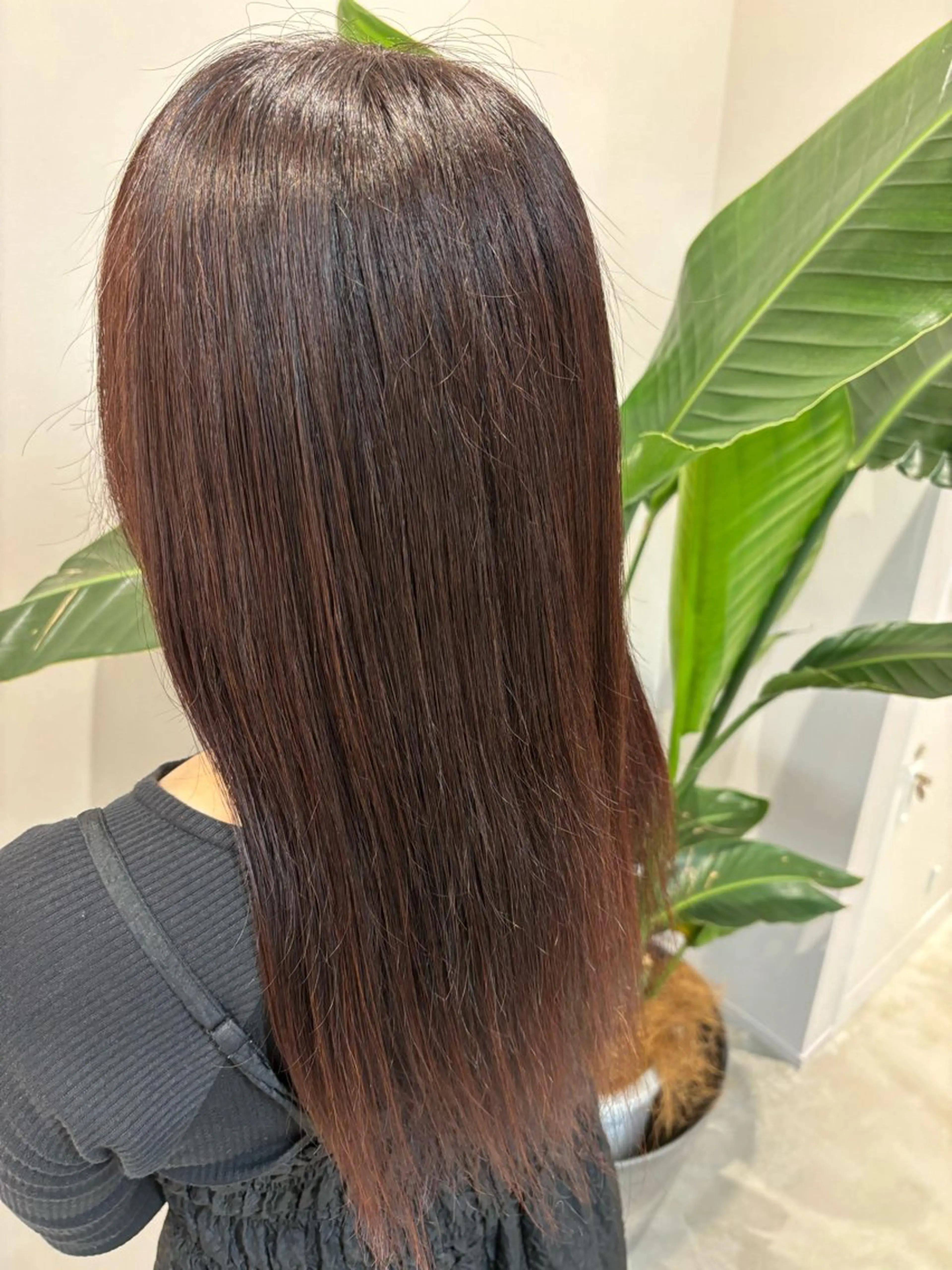 ロング 🐰カラー/ボブ/ manato🦊のヘアスタイル