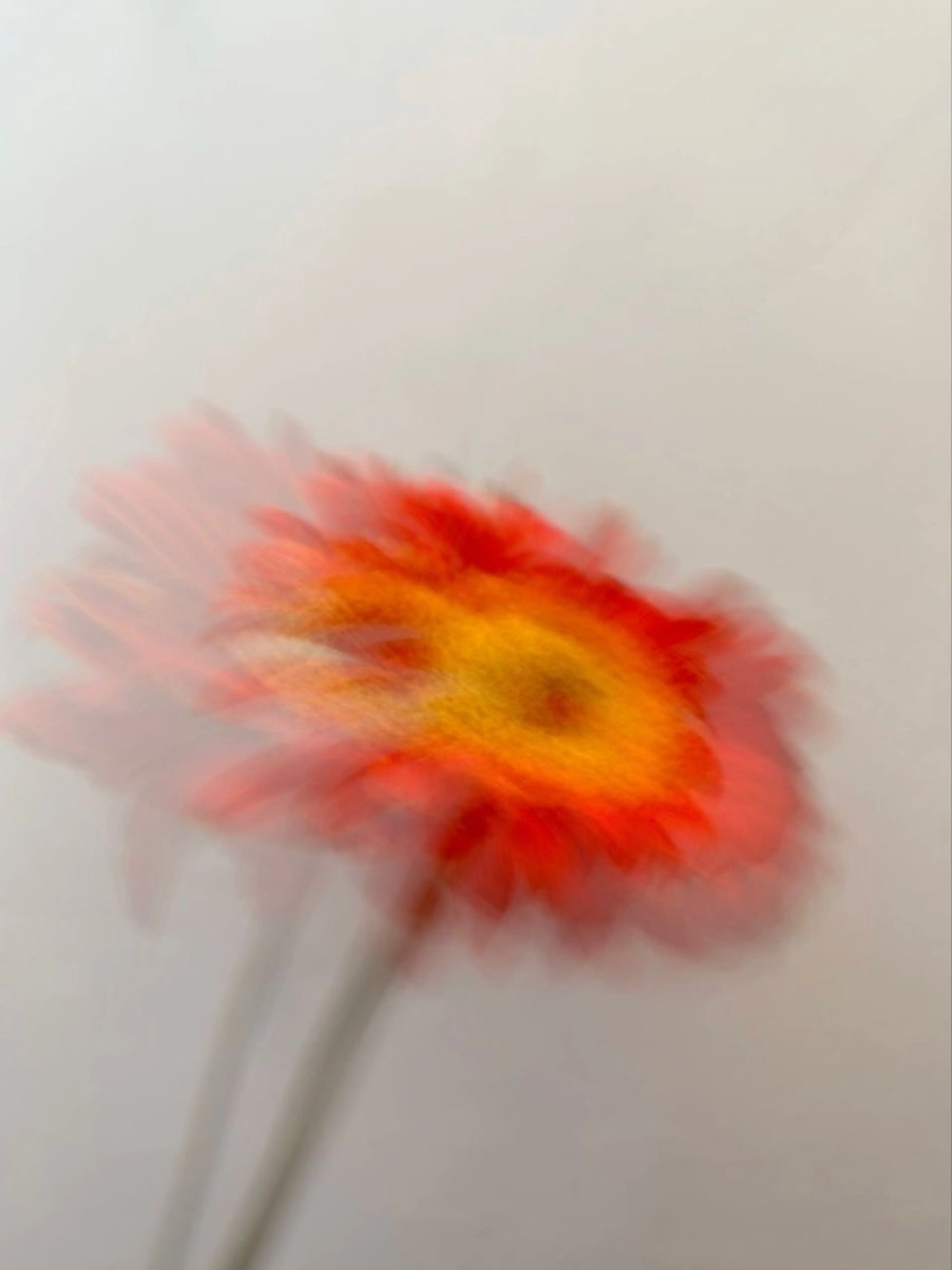 MAKE'Ｓ所属・misaki morimoto🌱のヘアスタイル