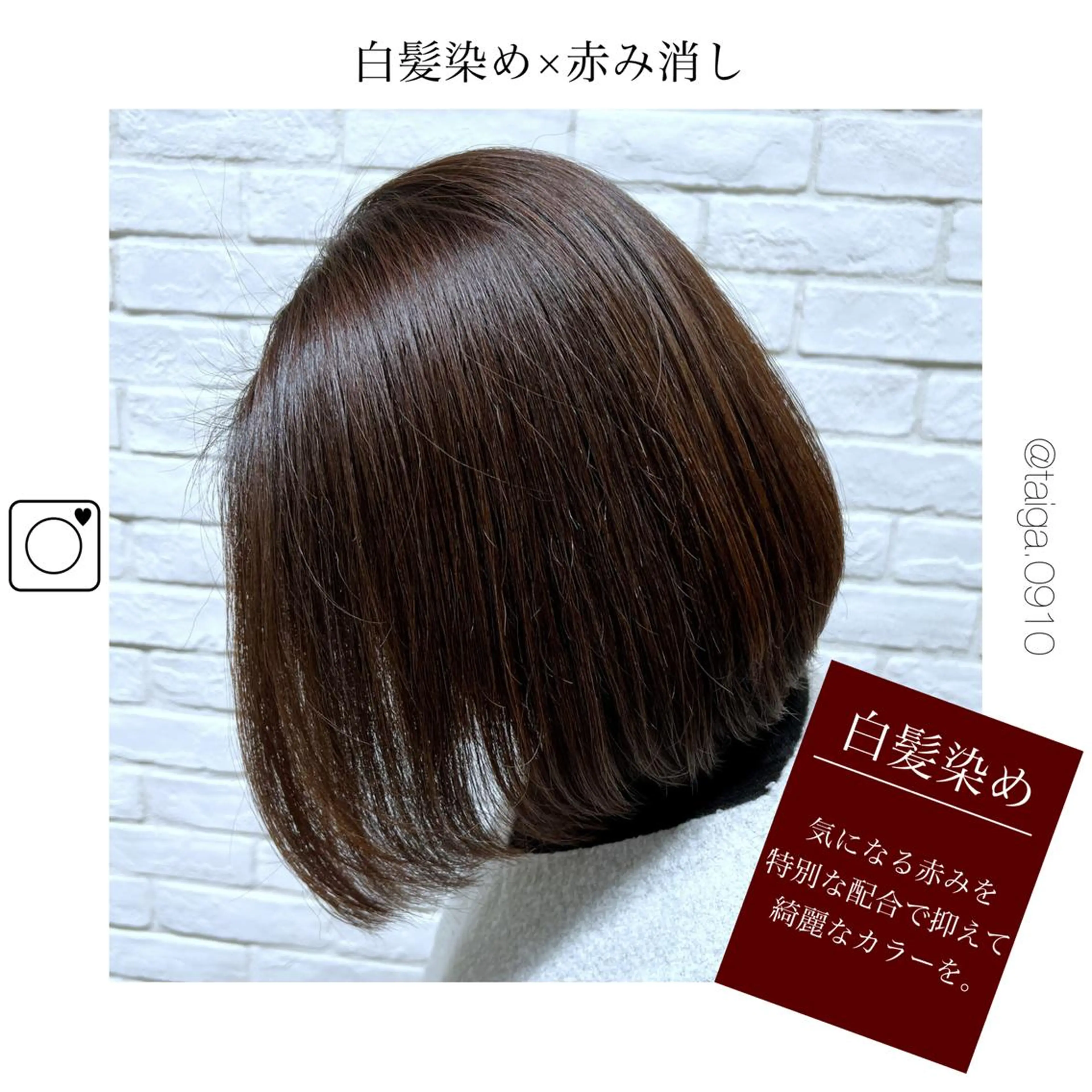 ショート カラー アッシュ アッシュブラウン ブラウンカラー レディースヘア💫 加藤たいが🐯のヘアスタイル