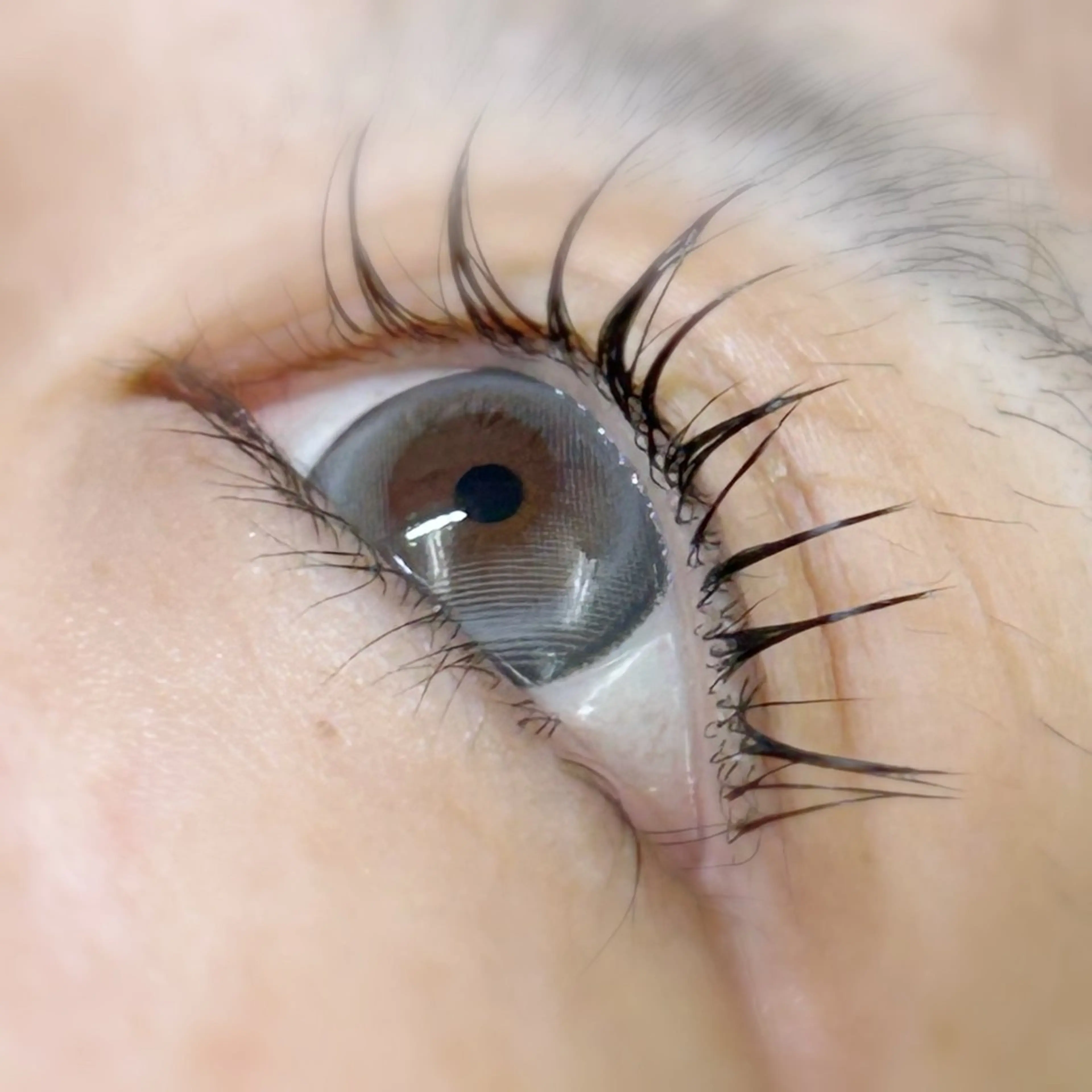 マツエク・マツパ マツエク 荘司 桜子のマツエク・マツパデザイン