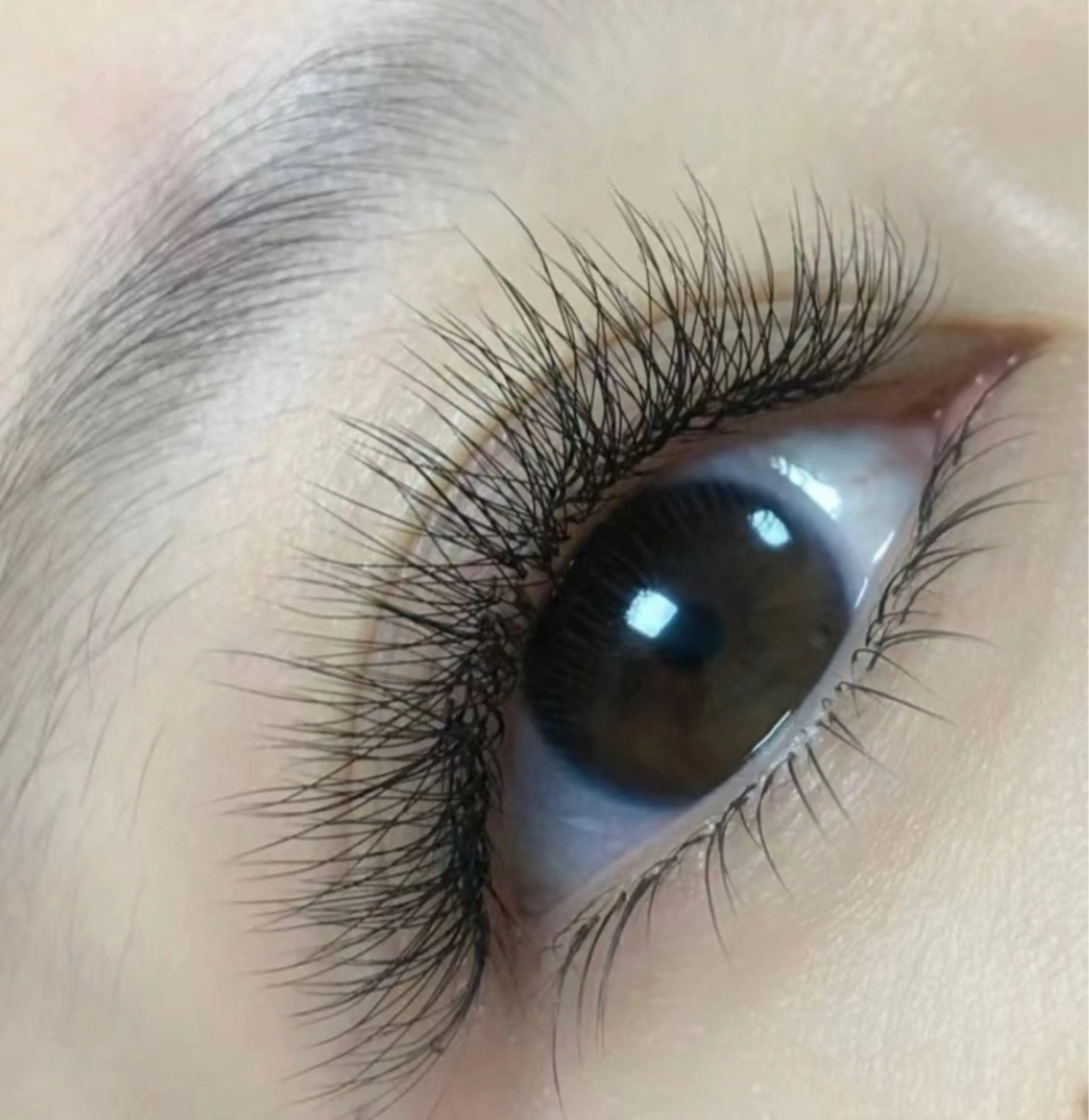 4Dボリュ一ムラッ シュ80 (320本) 【オフあり➕20分钟】の写真