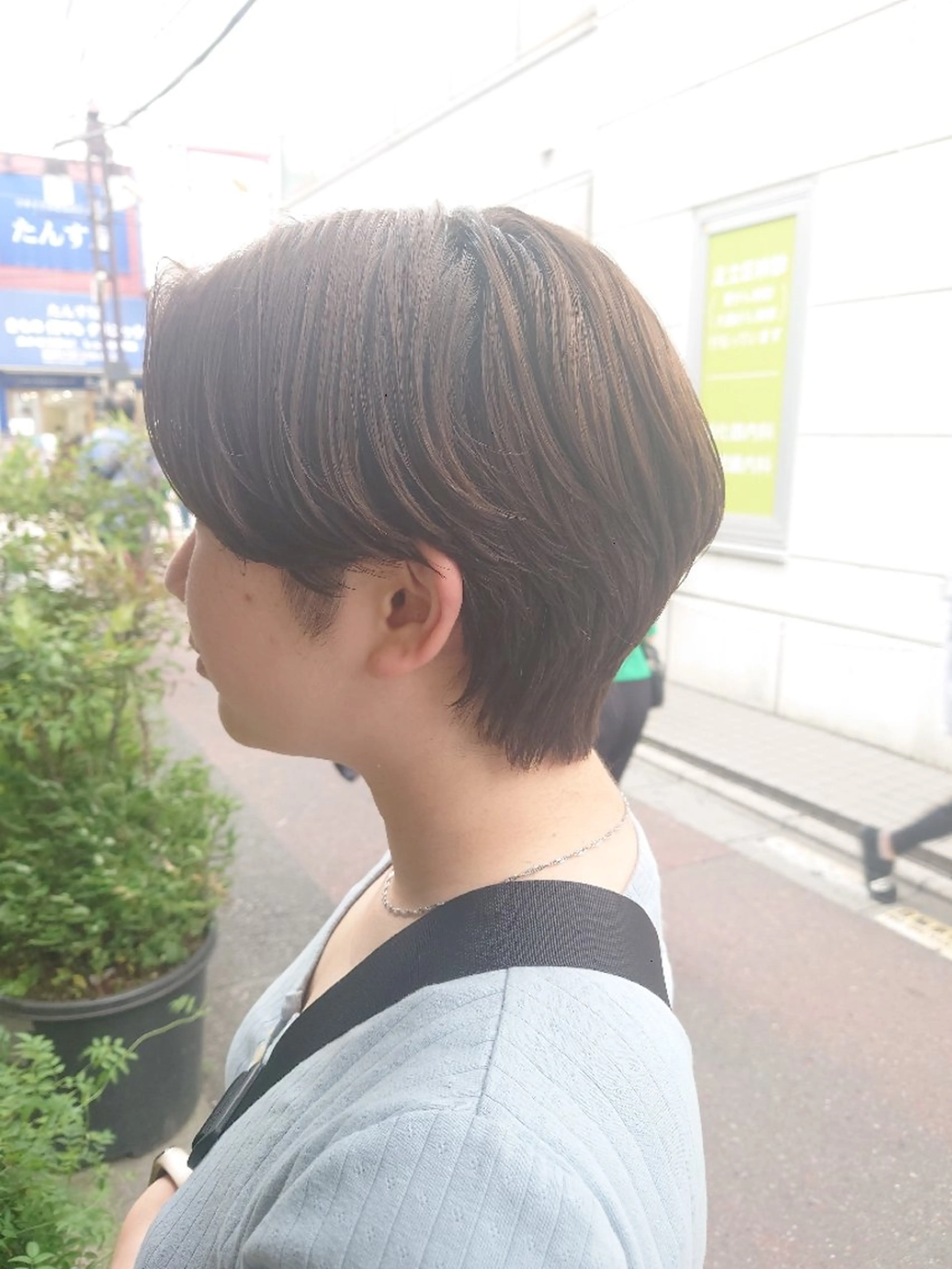 透明感color＋shampooの写真