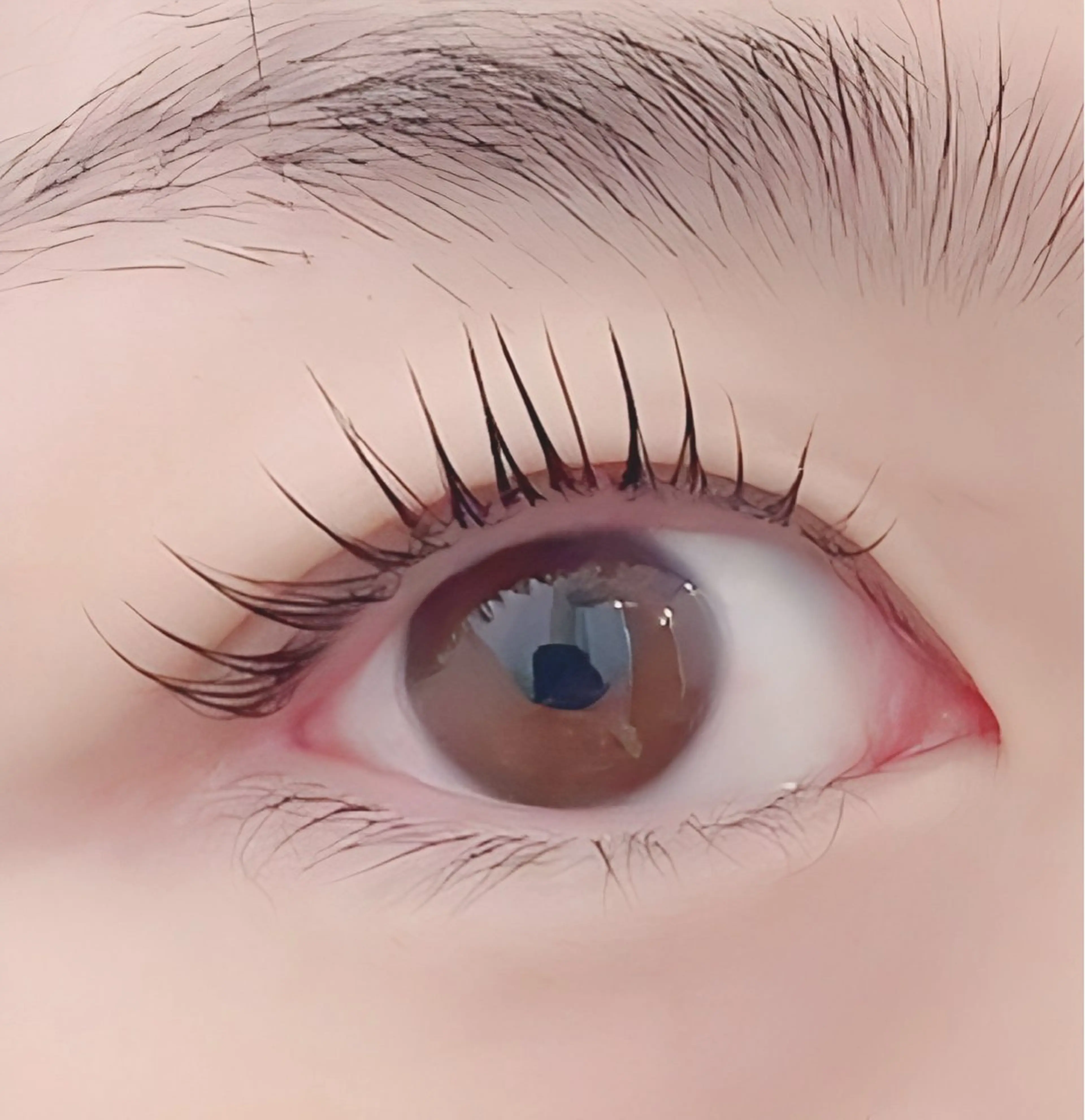 デザインラッシュリフト、メーテルパーマ(上)の写真