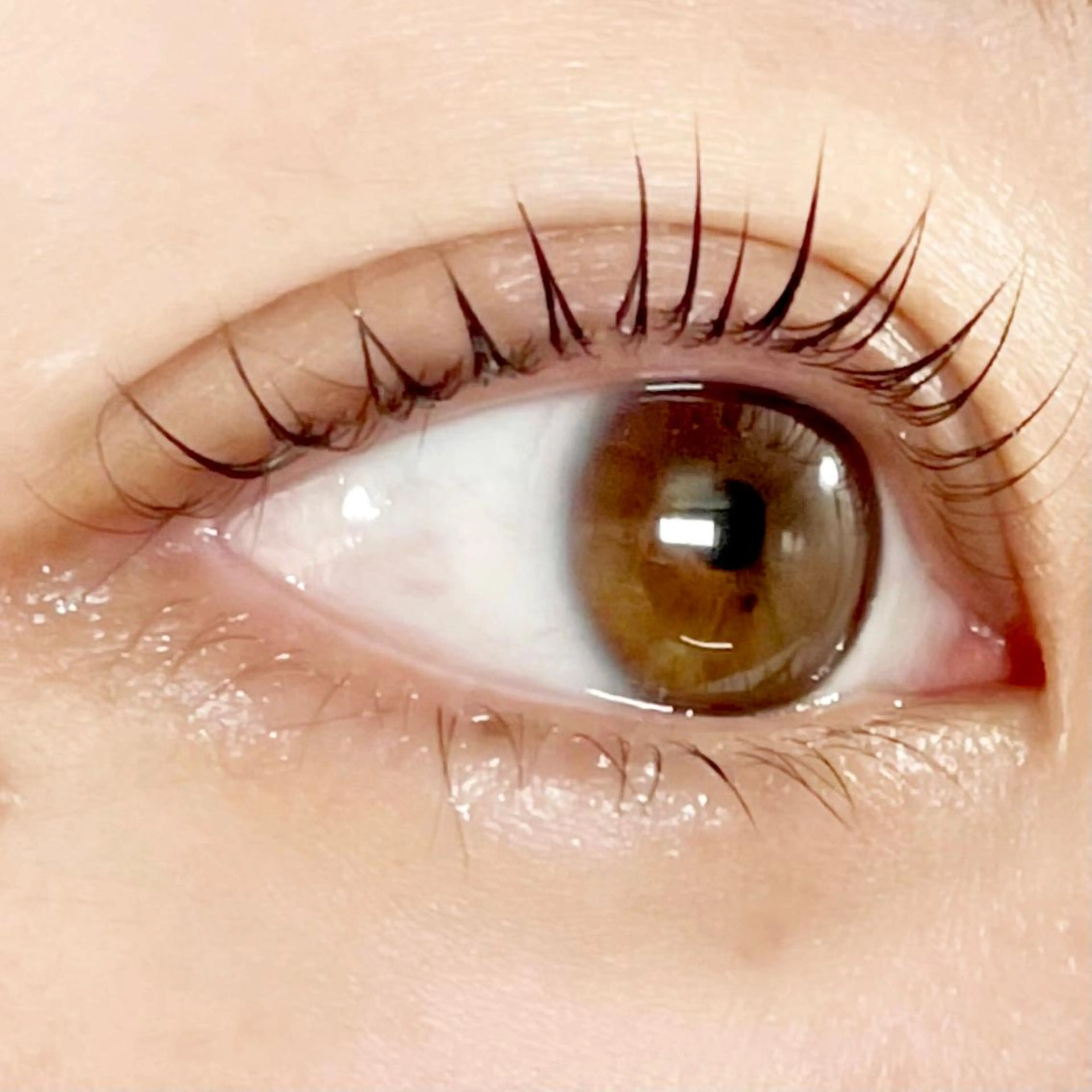 マツエク・マツパ tela所属・こばやし かんなのマツエク・マツパデザイン