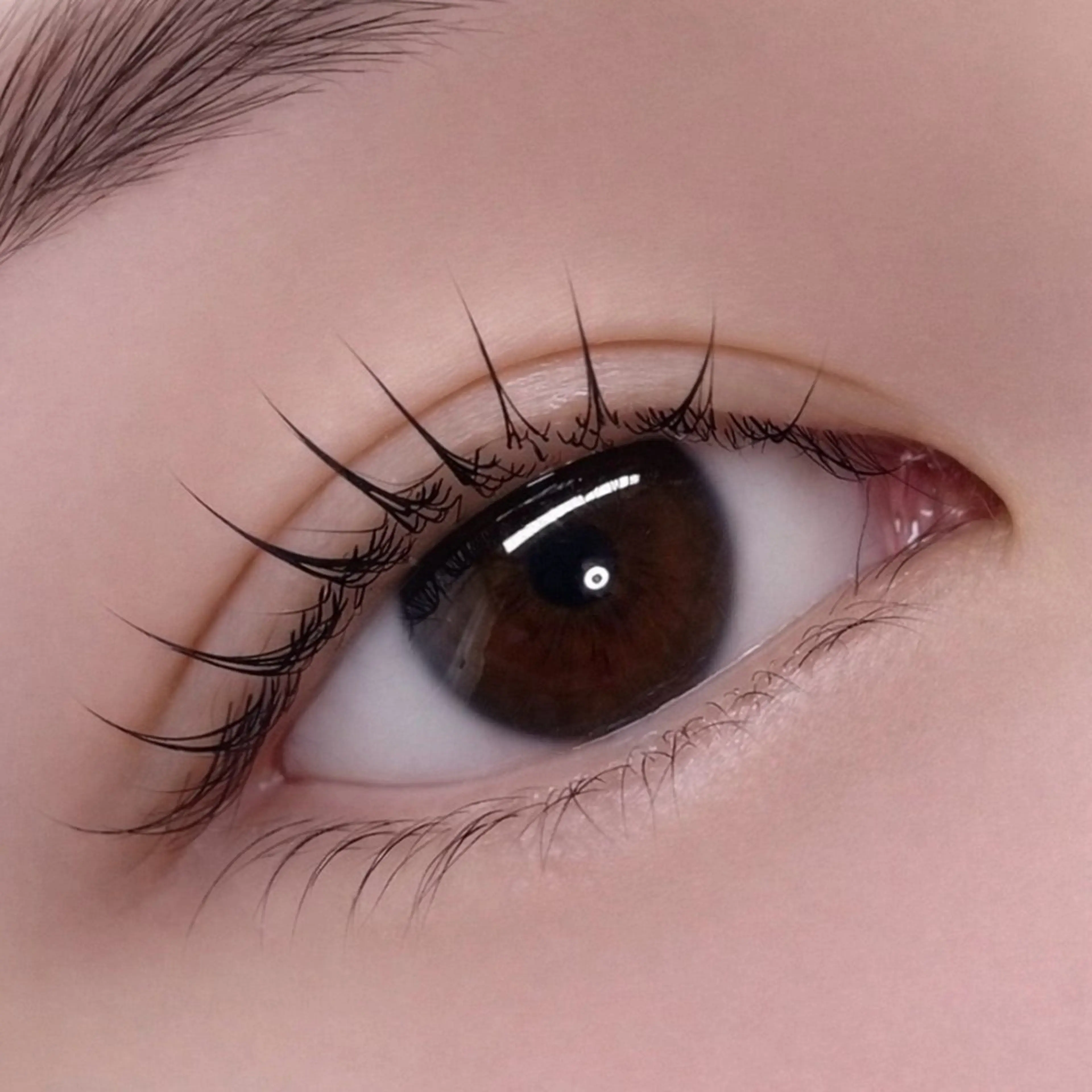 【新規限定】似合わせまつ毛パーマ(ラッシュリフト)の写真