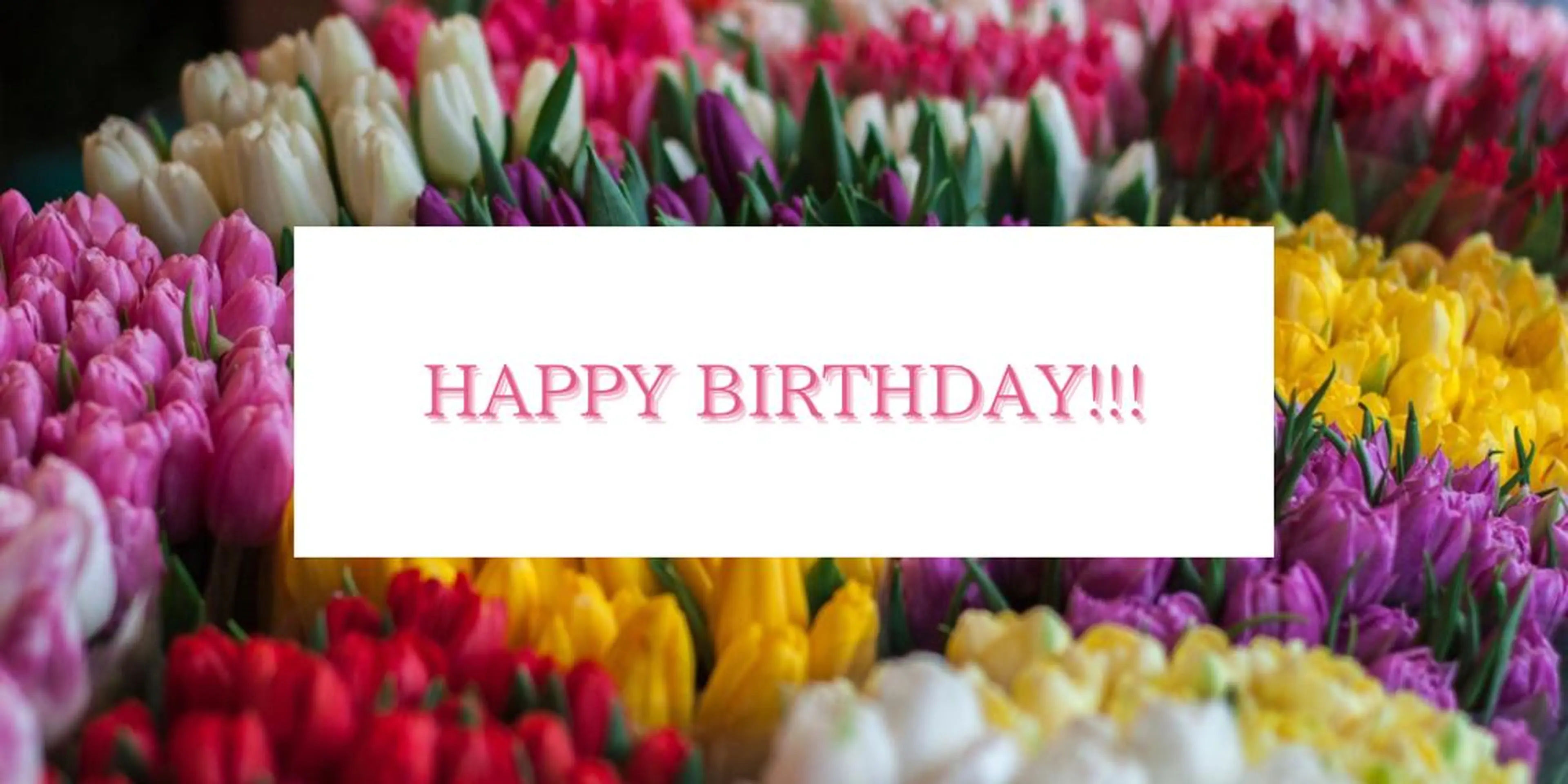 《90分》【＊Happy Birthday＊】贅沢オーダーメイドコース¥12000⇒¥10000の写真