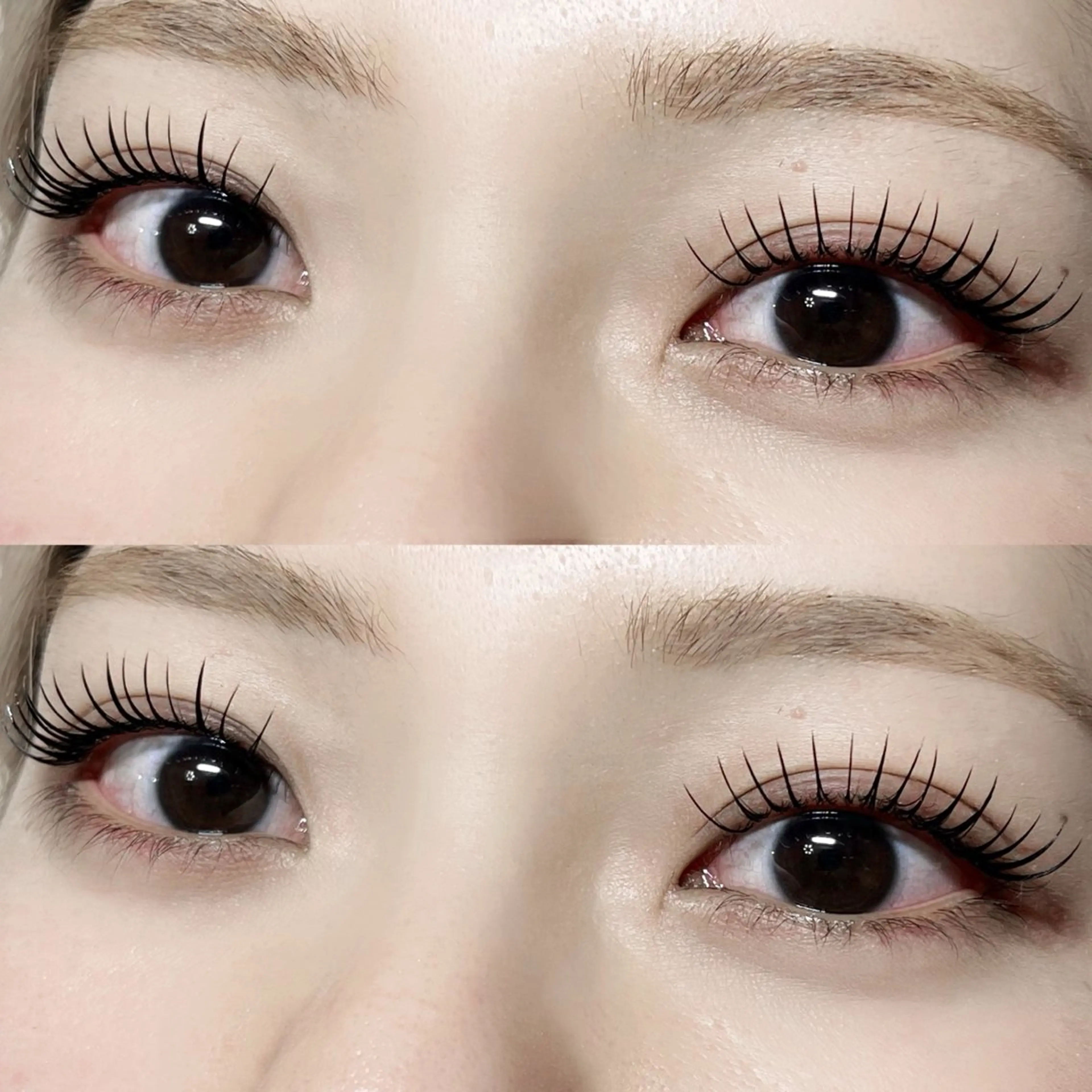 【急募】🎀アンドヘルシー&healthy120本🎀の写真