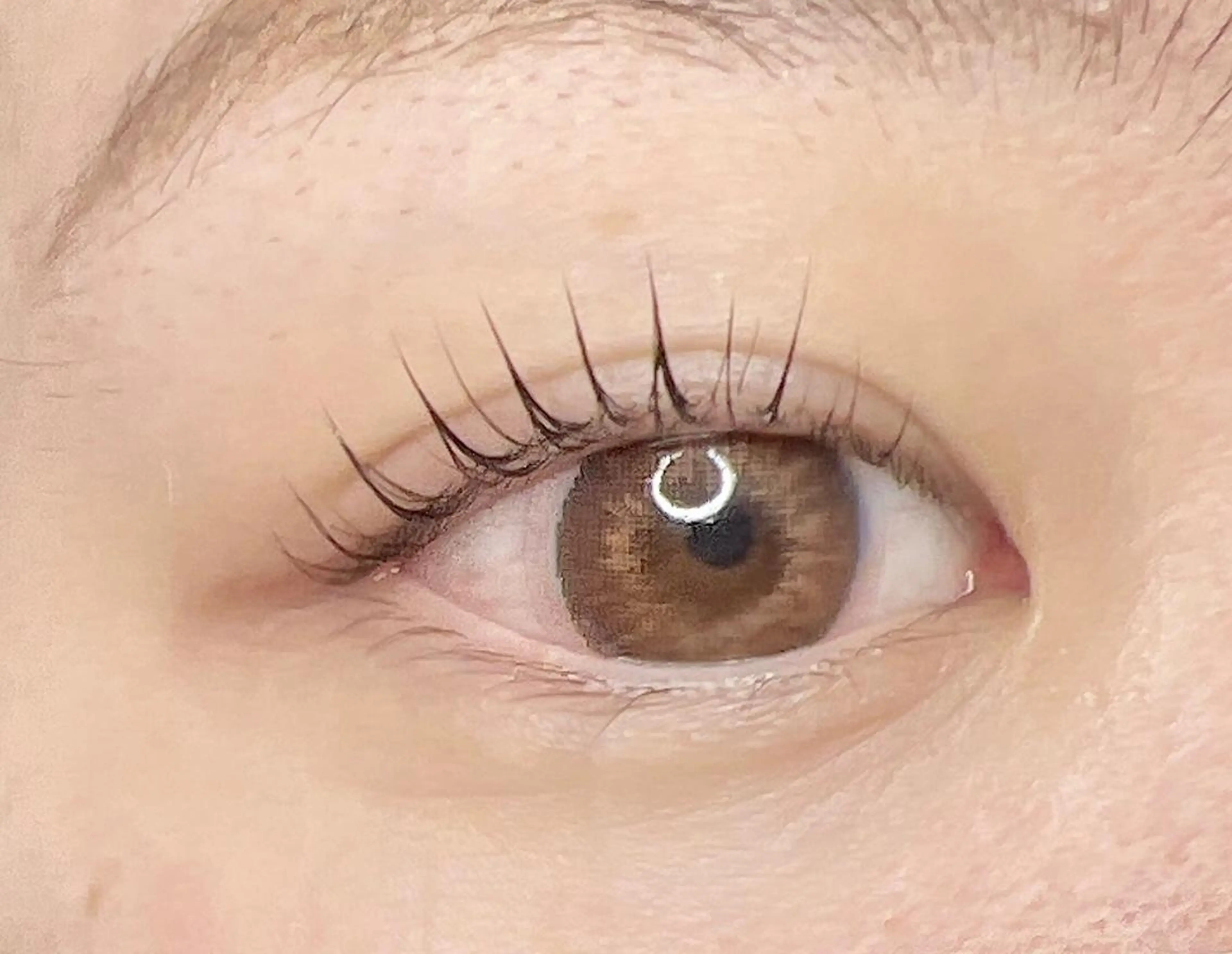 マツエク・マツパ ケラチンラッシュリフト 一重×まつ毛パーマ マツパ eyelash plan api所属・【plan】 kaoriのマツエク・マツパデザイン