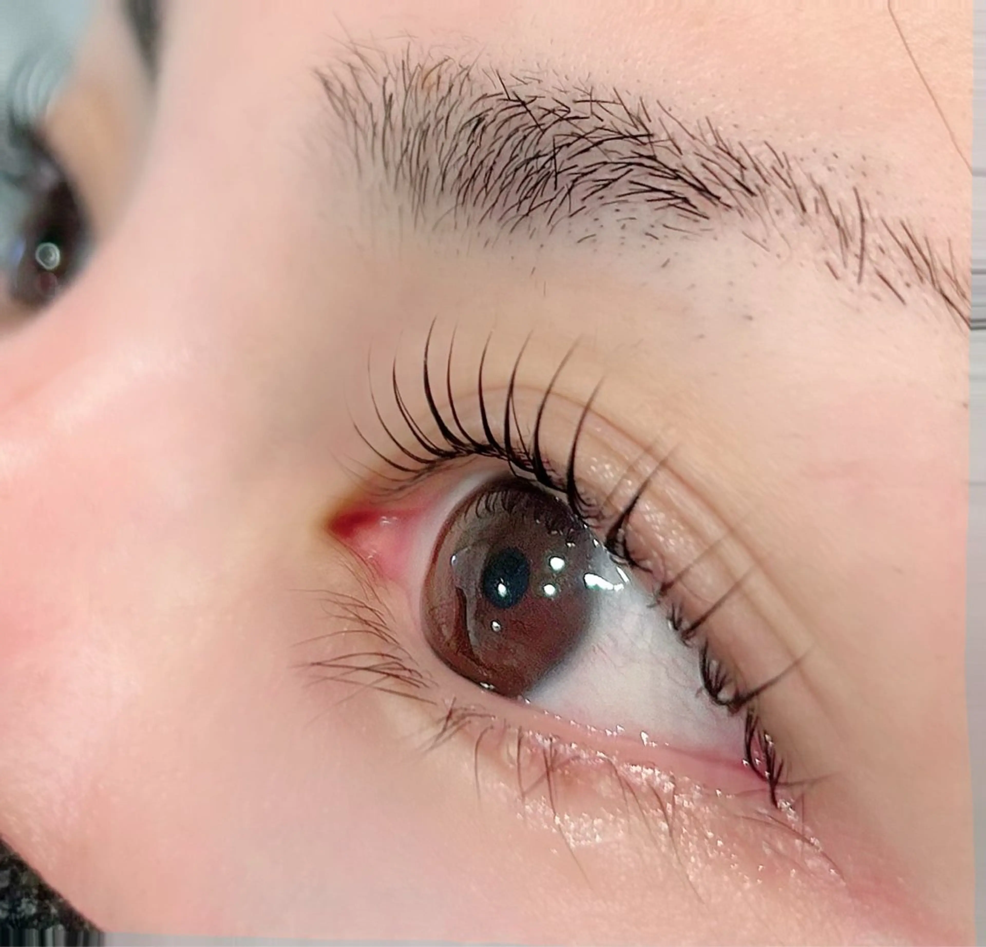 おすすめ🧡まつ毛パーマ(美容液入りのコーティング付き)の写真