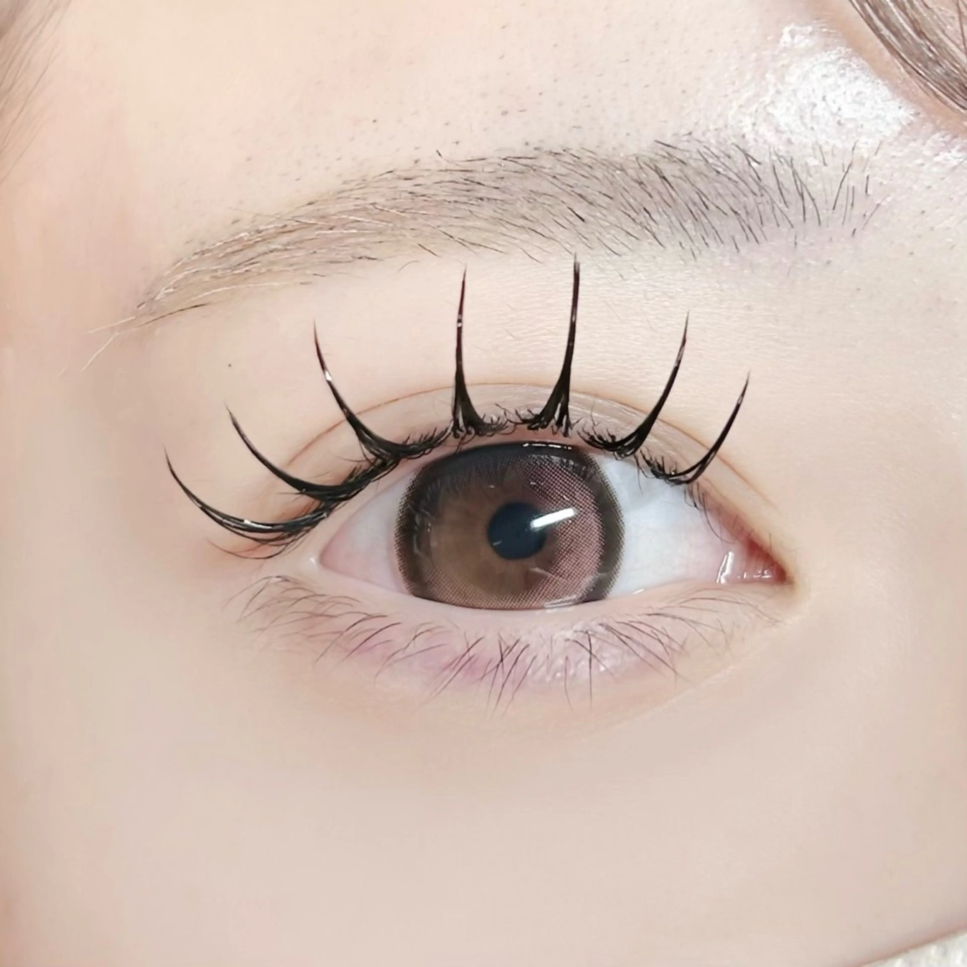 🌙最新LED🌙フラットラッシュ100本(コーティング付き)の写真