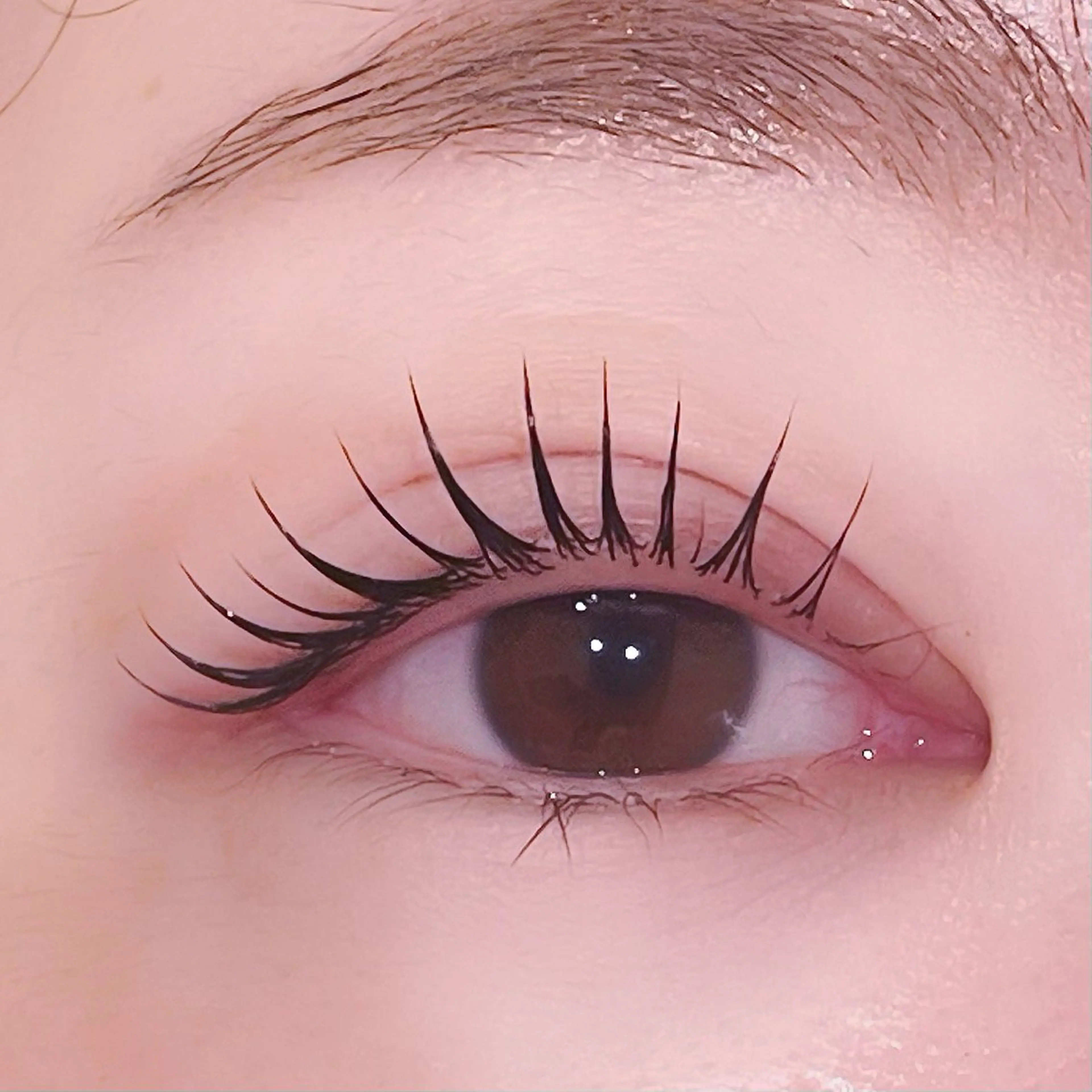 1日3名様限定 ❤︎韓国風束間仕上げ❤︎🧸メーテルデザイン（タレ目なエレガントデザイン）🧸の写真