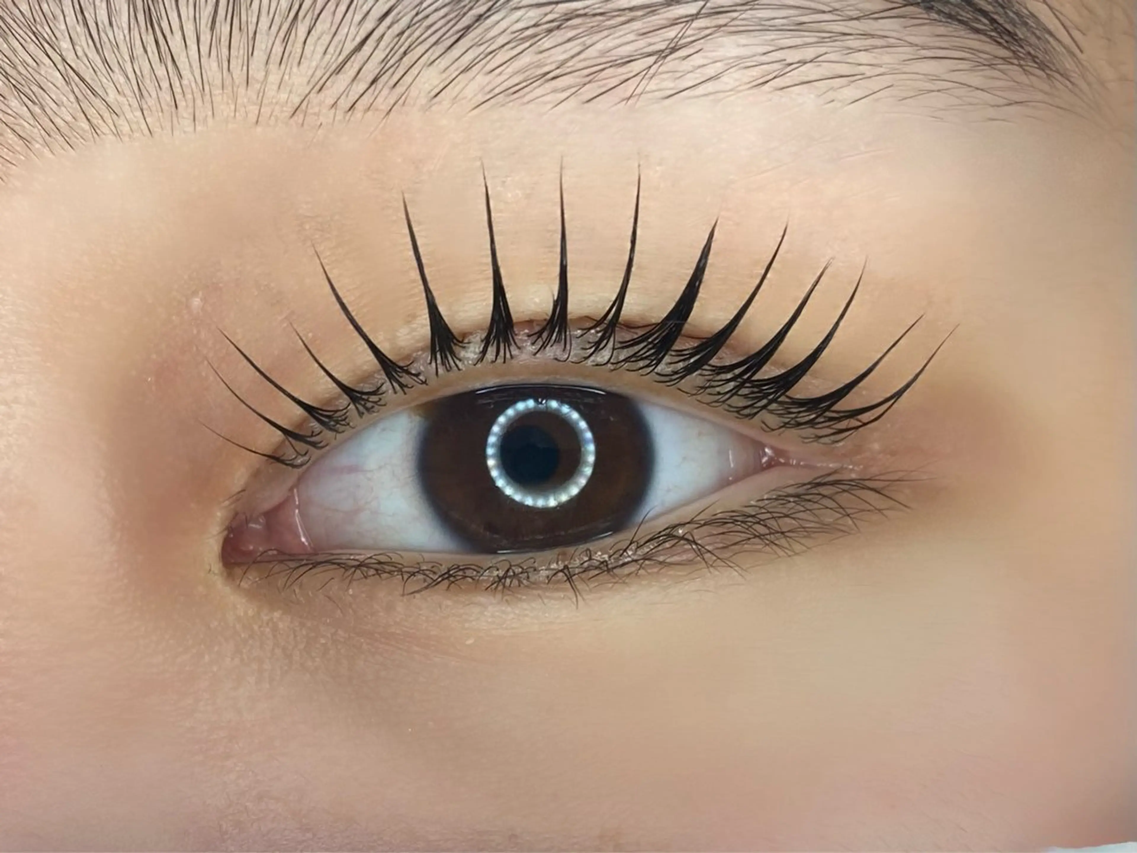 マツエク・マツパ Lupinus 長澤のマツエク・マツパデザイン