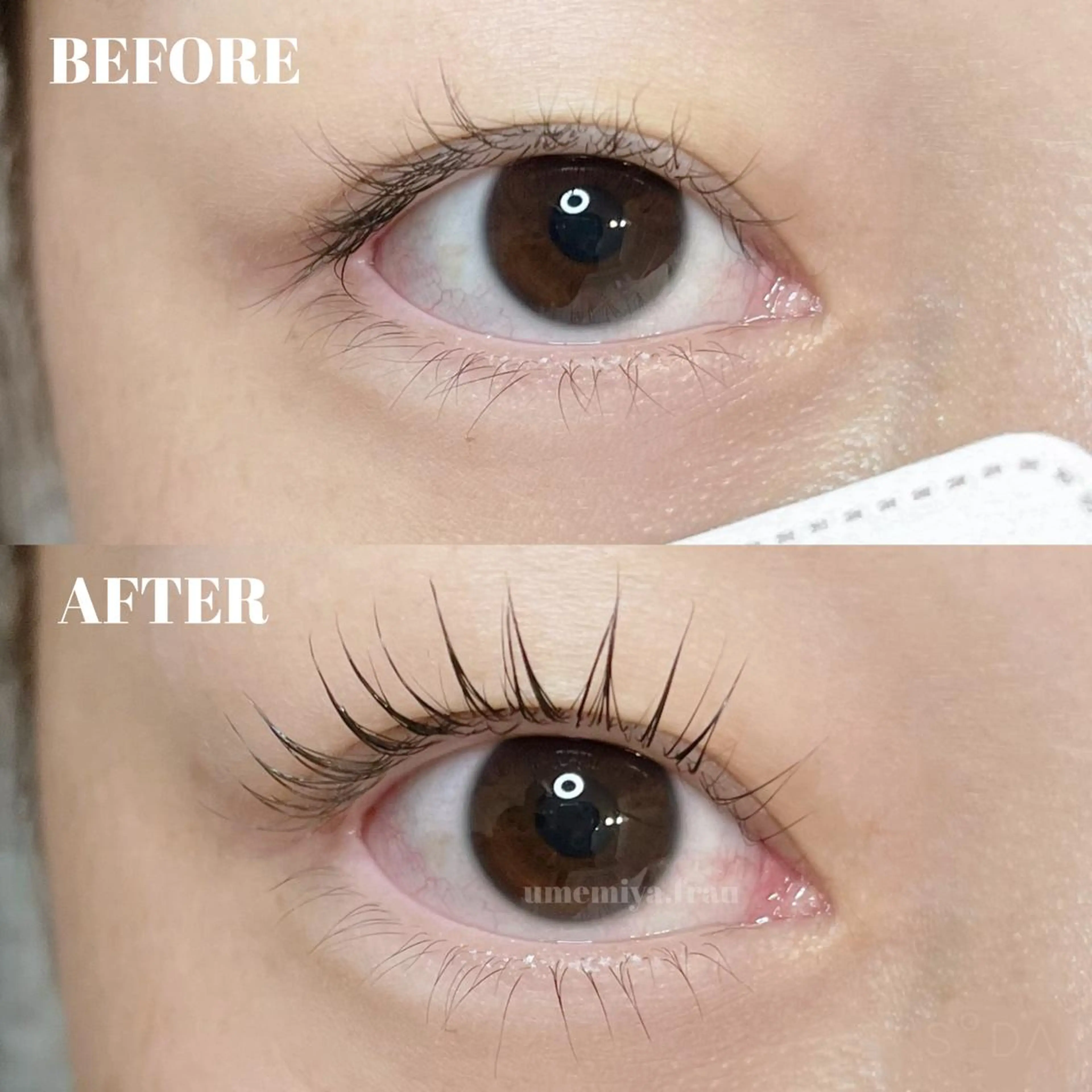 マツエク・マツパ マツパ Frau 梅宮のマツエク・マツパデザイン