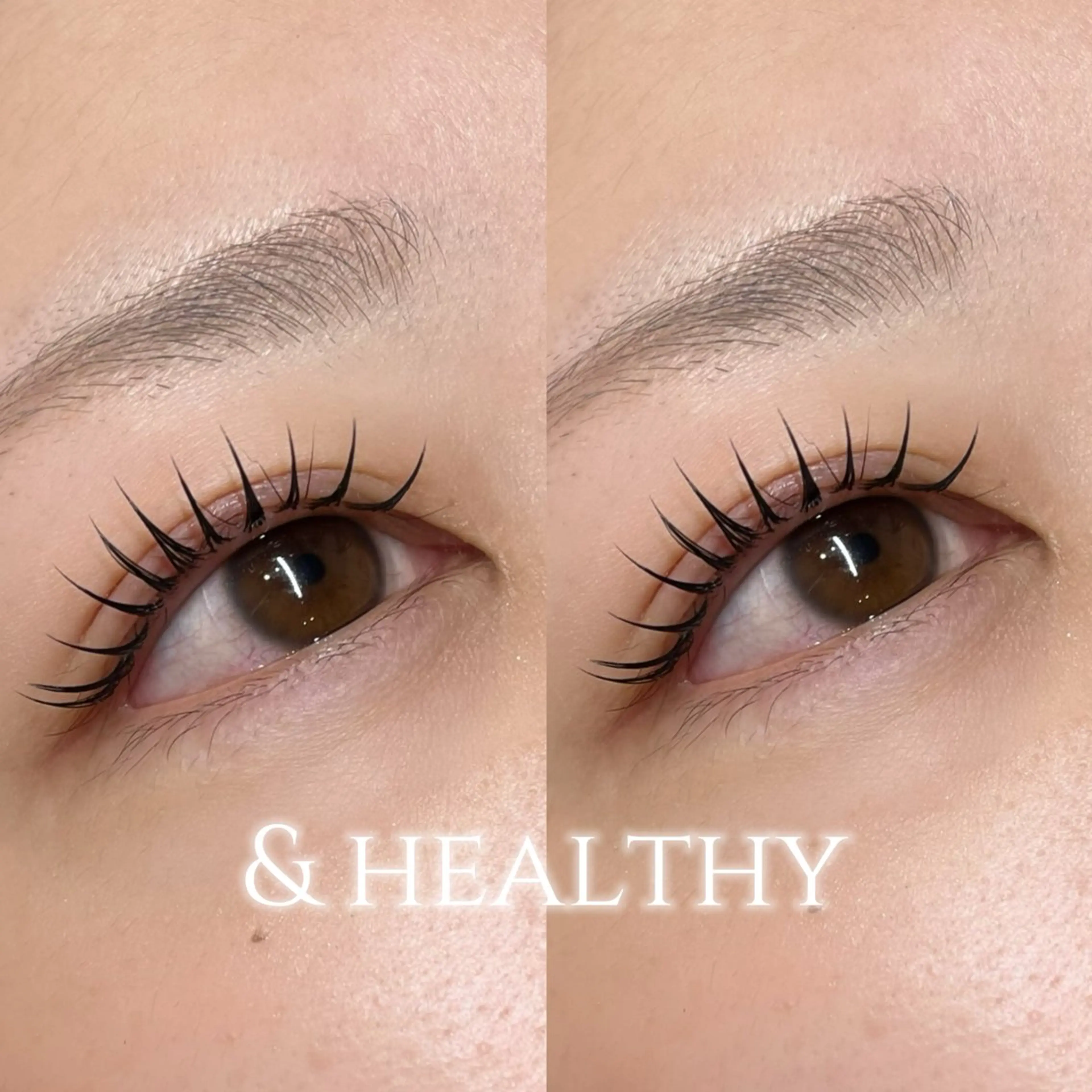 【マツエク→まつ毛パーマ】アンドヘルシー120本🤍の写真