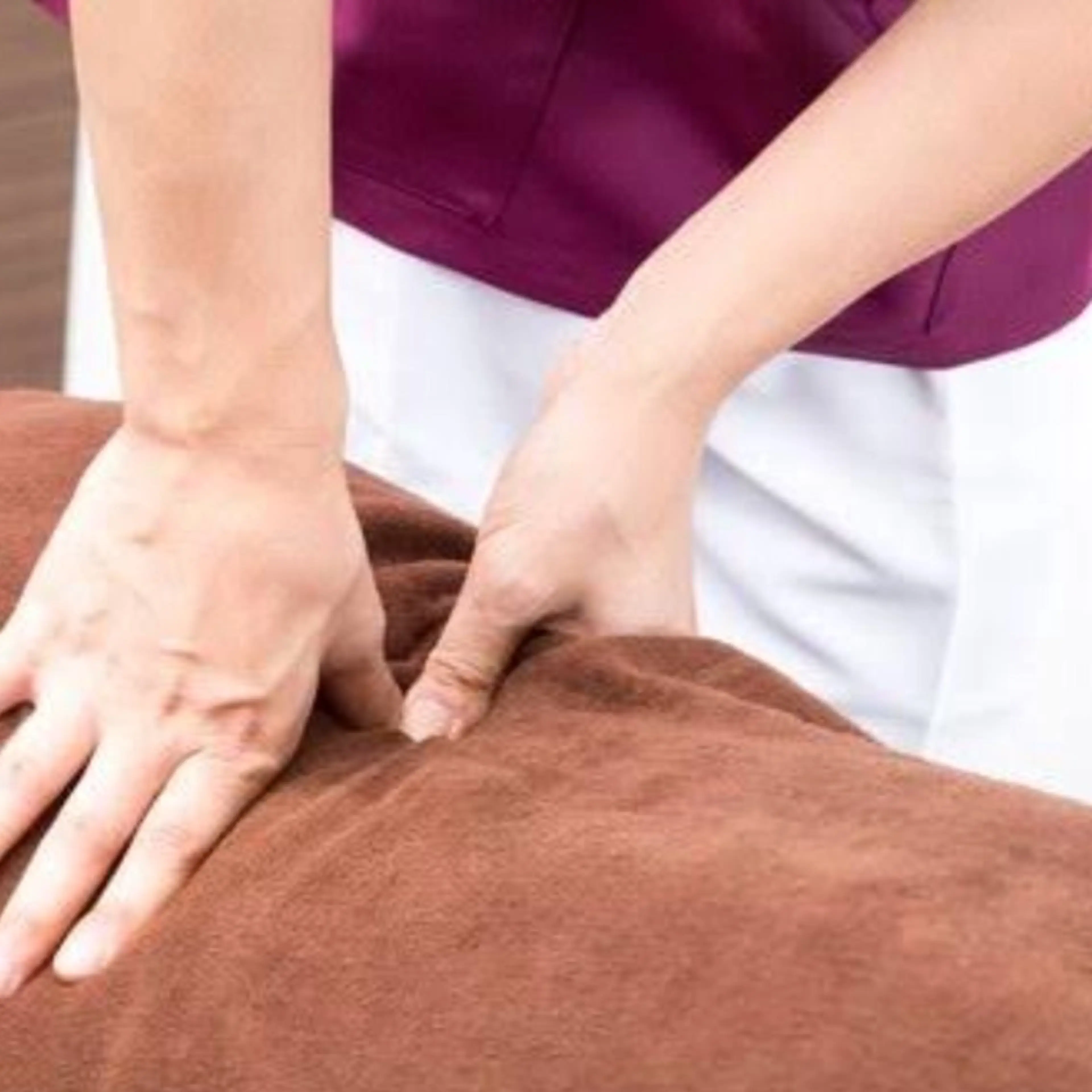 その他 元気館グループ　大宮西口整体院所属・元気館　西口 徳野のエステ・リラクイメージ