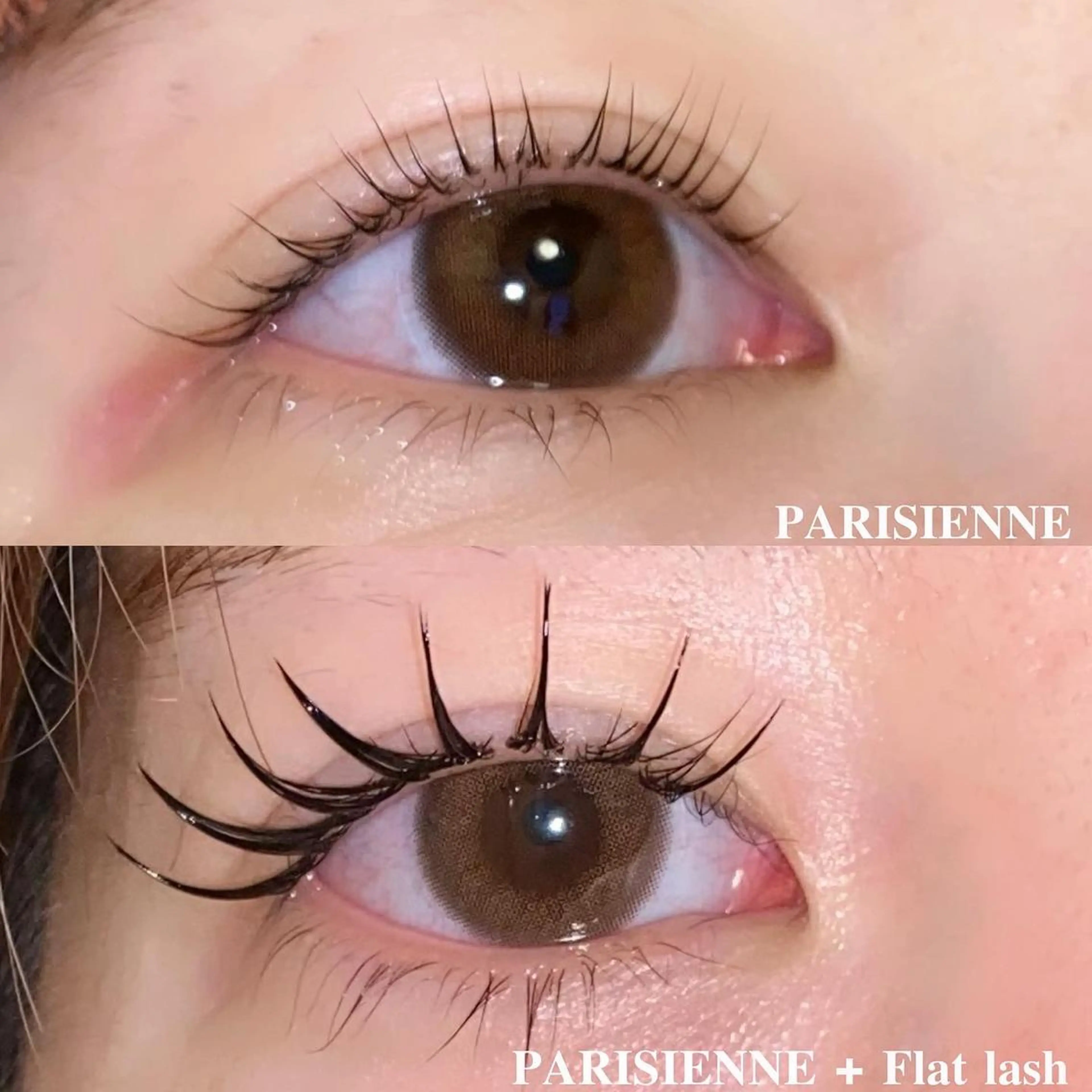 マツエク・マツパ 束感まつ毛 フラットラッシュ 韓国風マツエク パリジェンヌラッシュリフト ボリュームラッシュ 肌に馴染むハイトーン /ミルクティーカラーのヘアスタイル