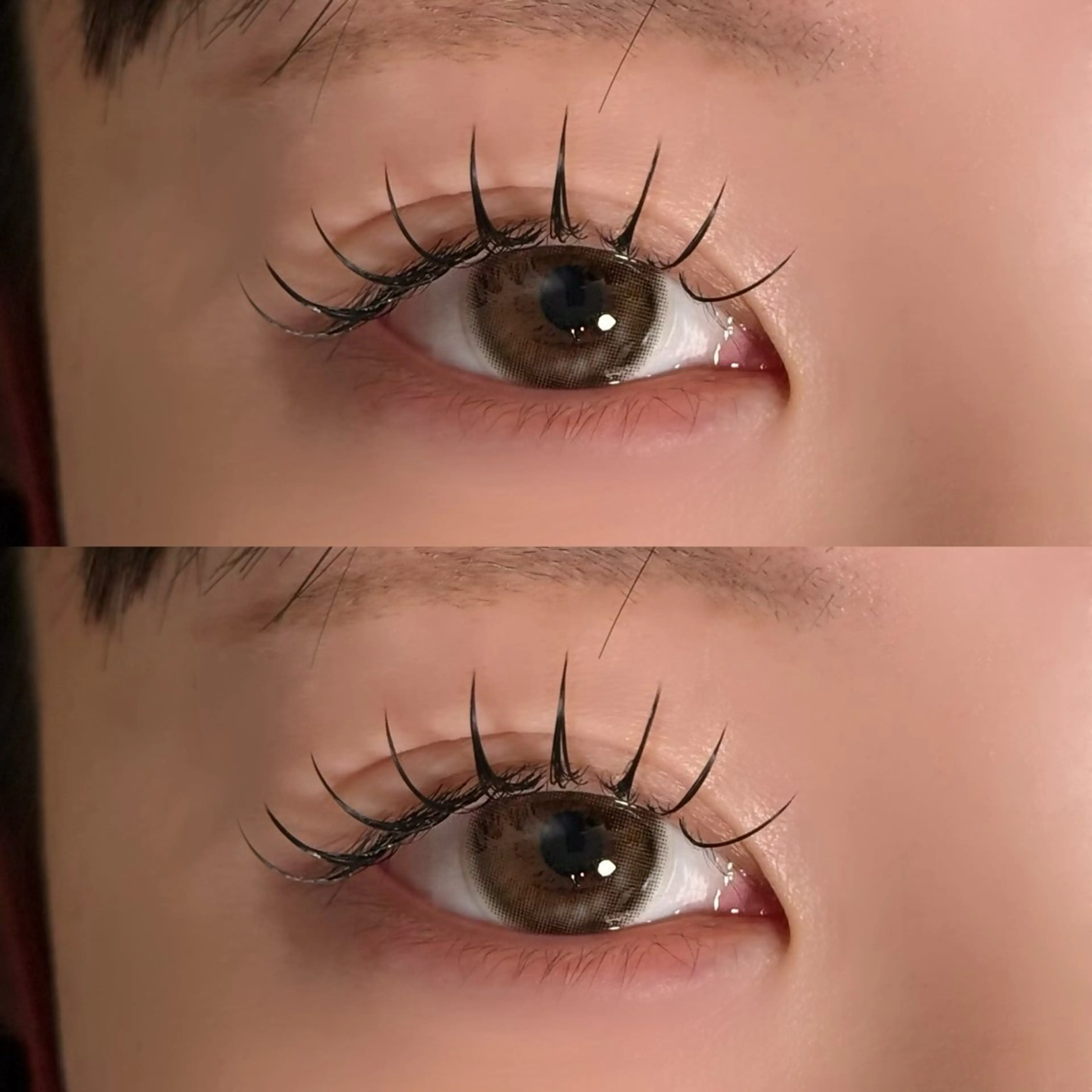 マツエク・マツパ フラットラッシュ マツエク 🐾ROAR🐾 HAZUKIのマツエク・マツパデザイン