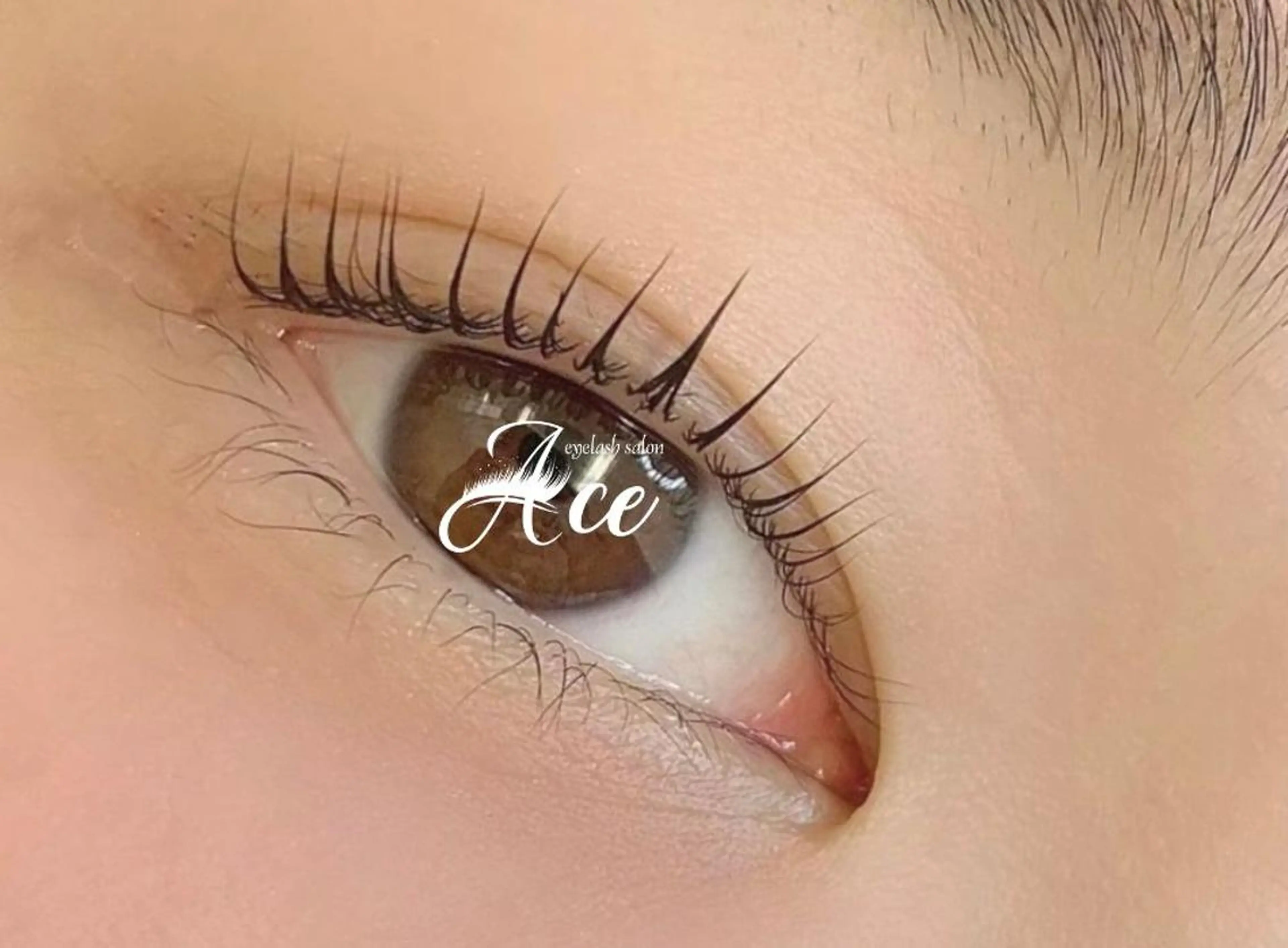 《まつげパーマ》オーダーメイド designラッシュリフト☆/TR付 4,980円[銀座・東銀座]の写真