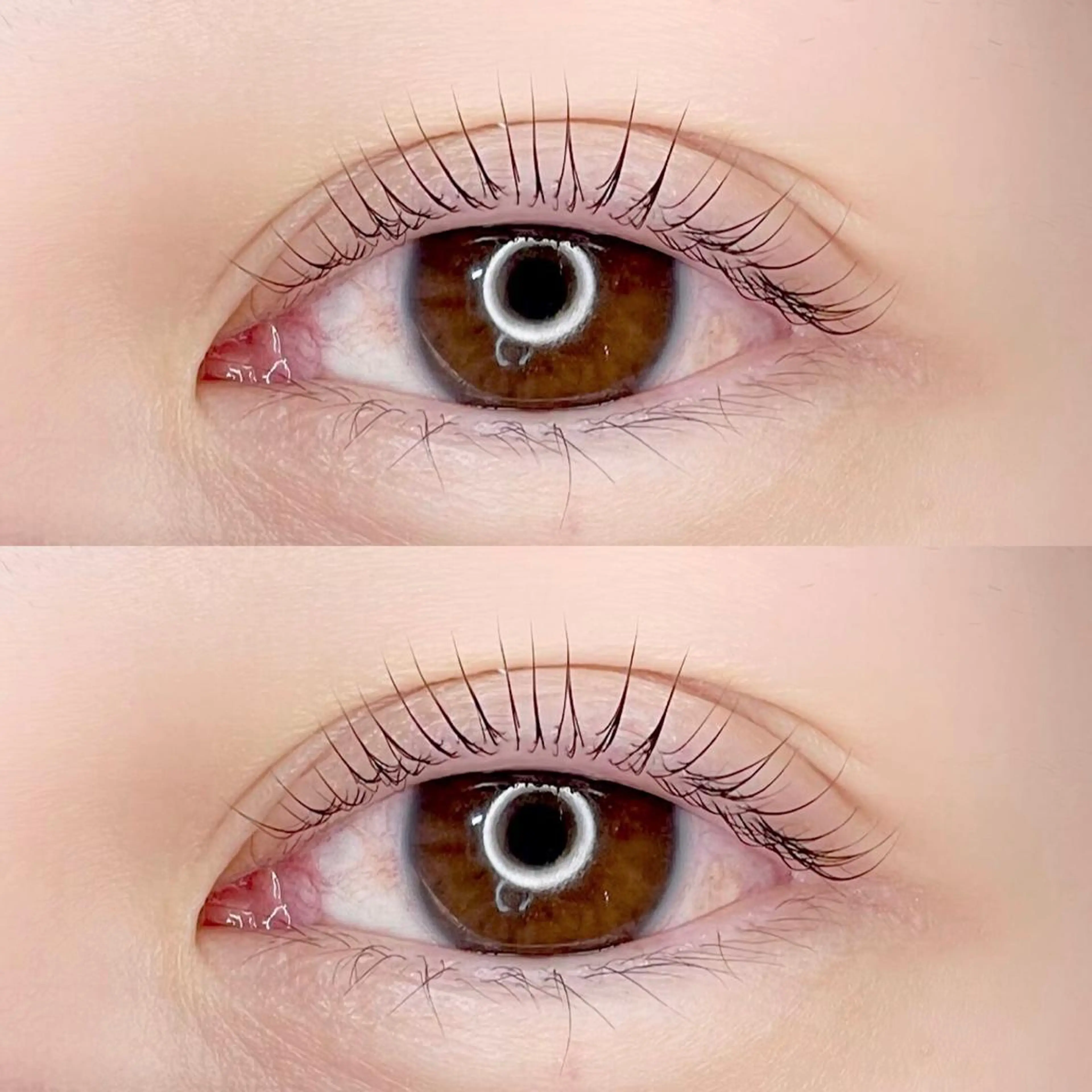 マツエク・マツパ Madonna Lilyのマツエク・マツパデザイン