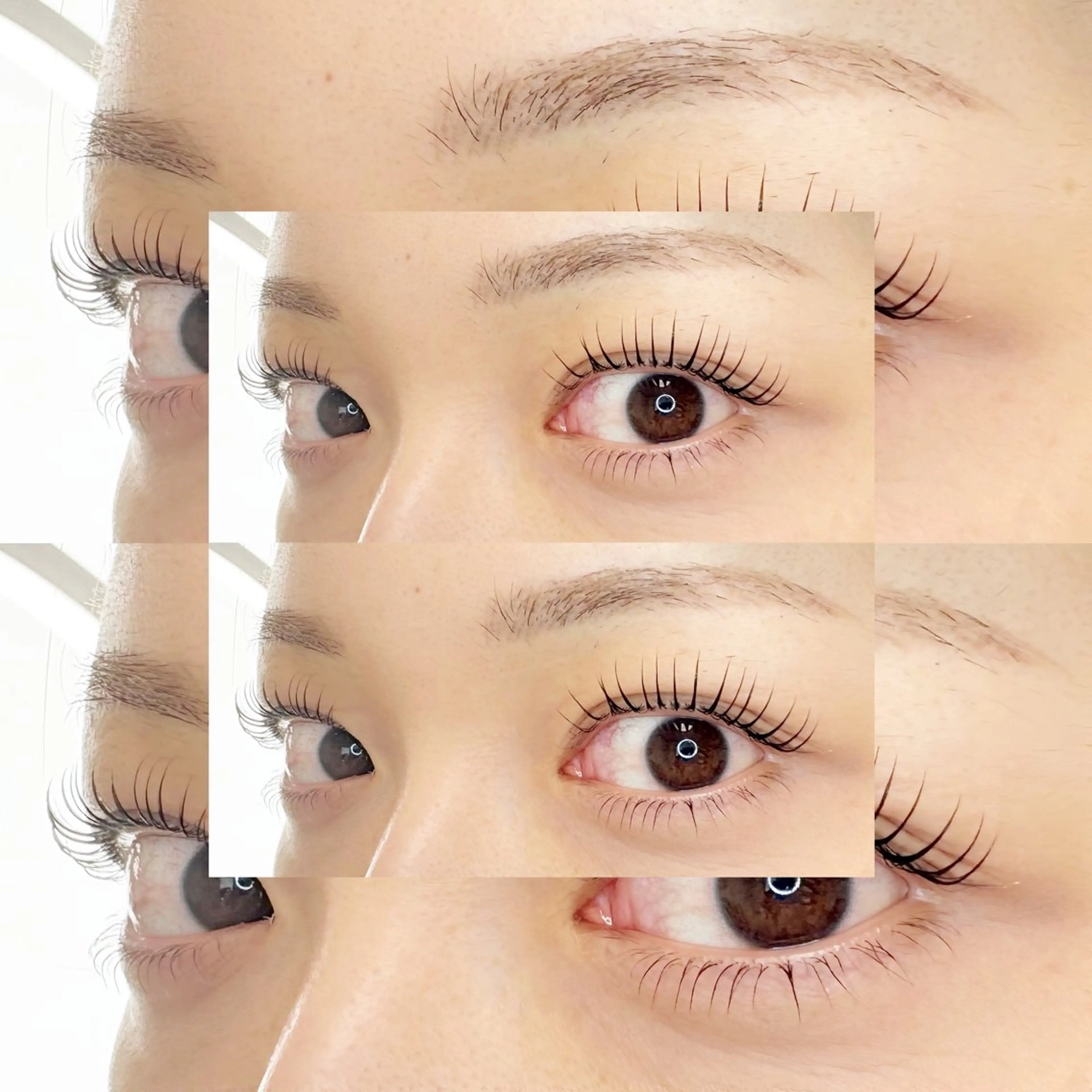 🤍ラッシュリフト(パリジェンヌ🉑)+🎁！🤍の写真