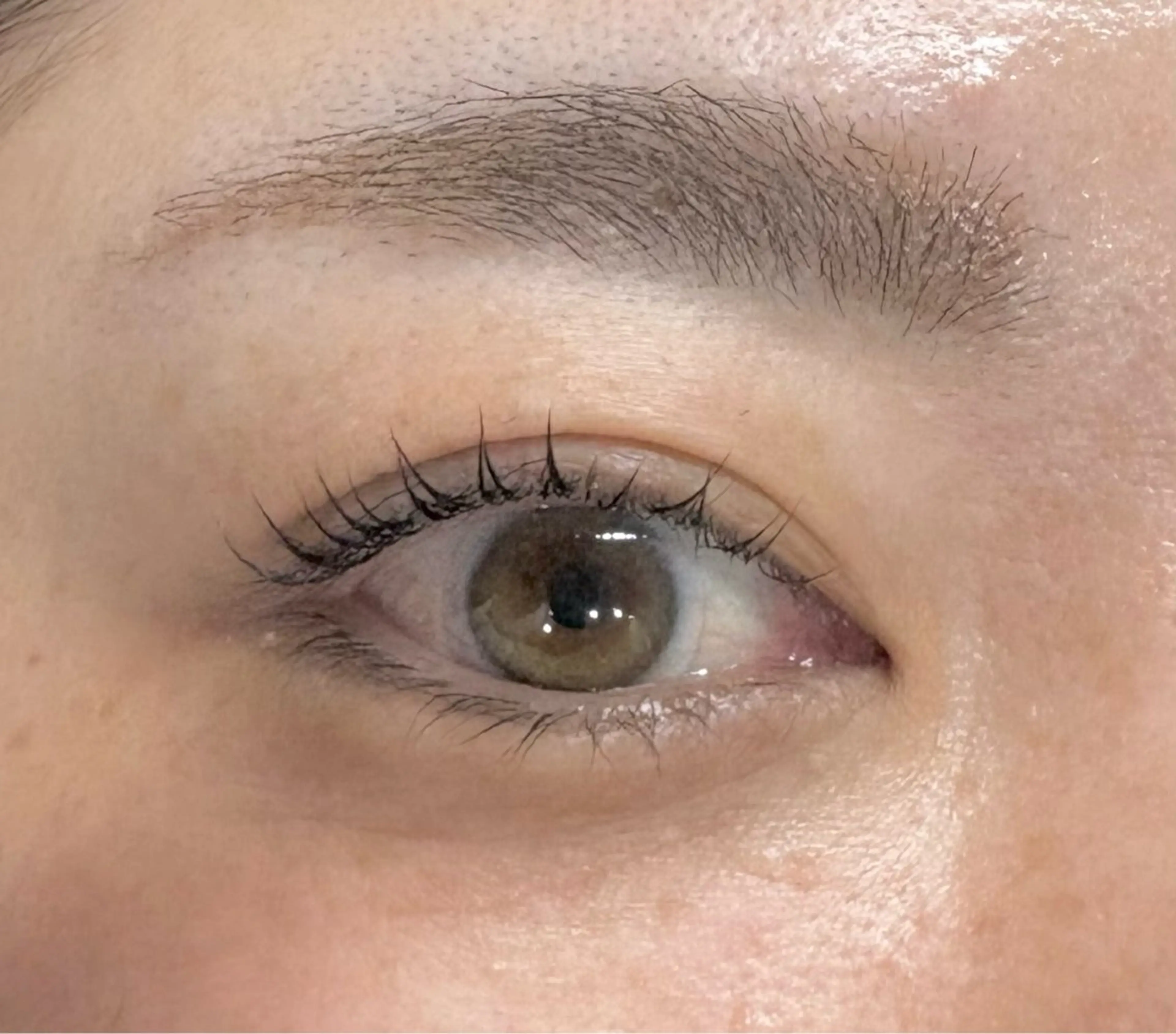 マツエク・マツパ Holus Moriguchiのマツエク・マツパデザイン