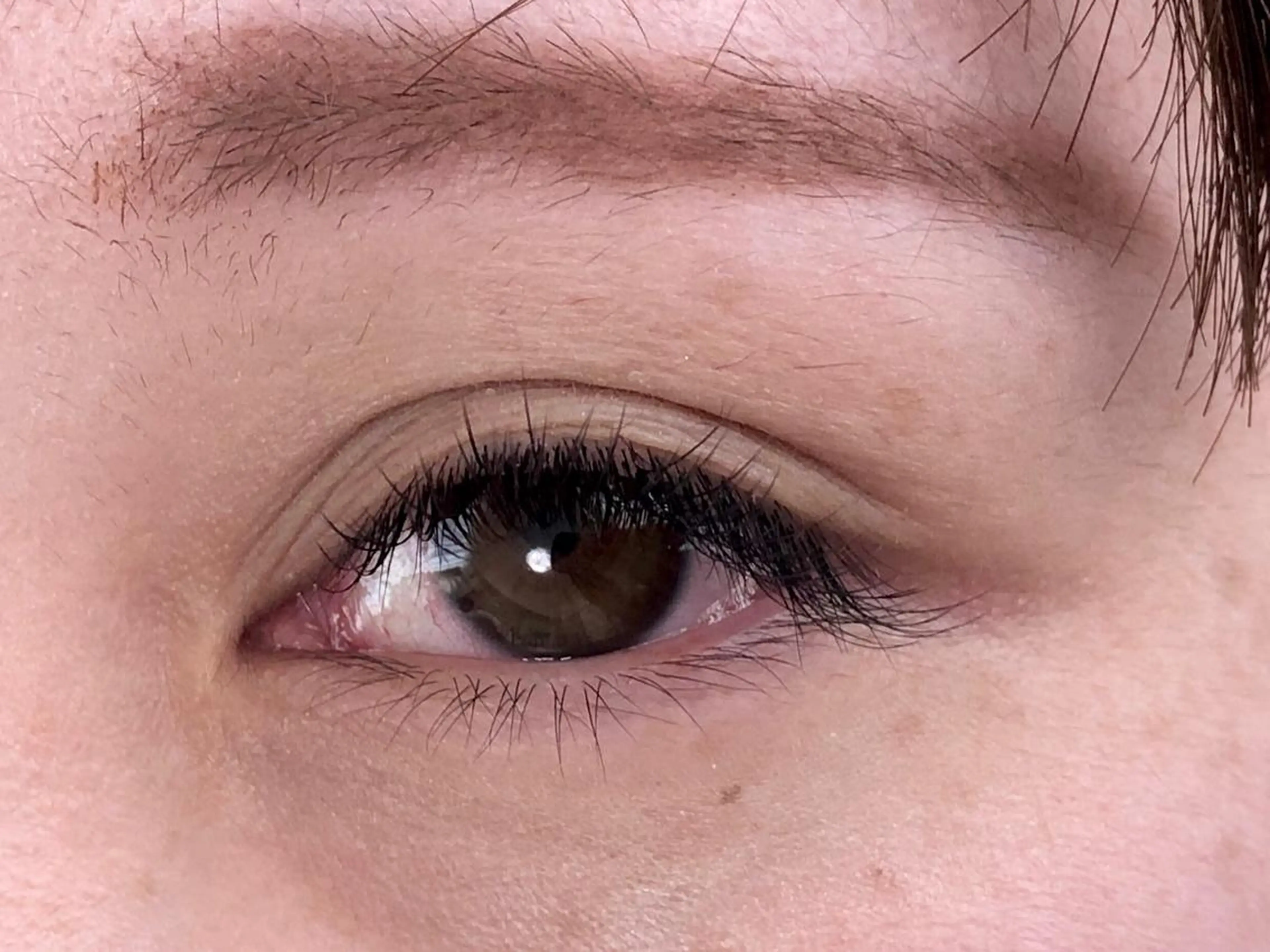 マツエク・マツパ マツエク Plume micoのマツエク・マツパデザイン