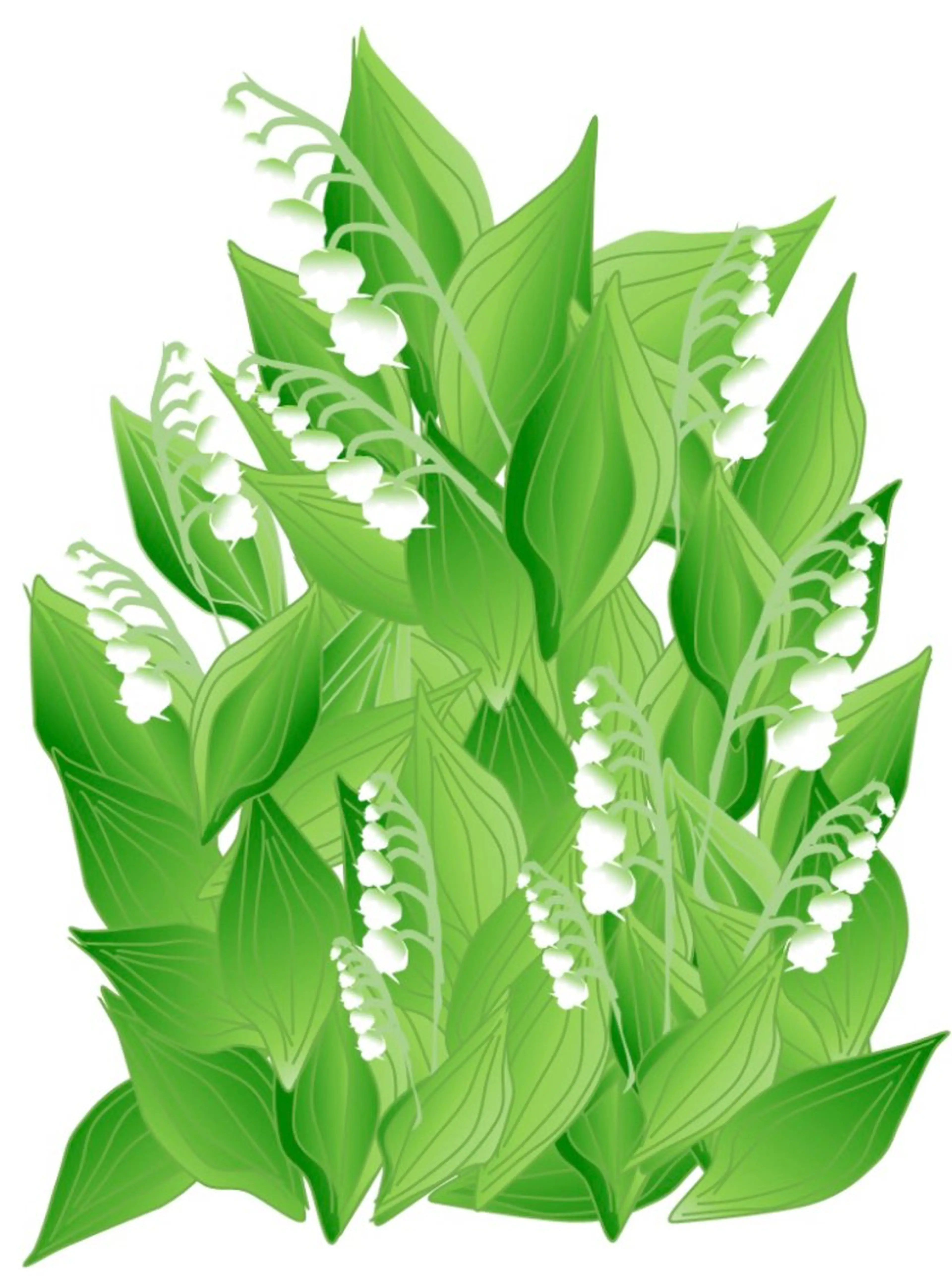 ☆美白パックでシミ・ソバカスのケア  アドバンスコース➕パックホワイト+🎁の写真