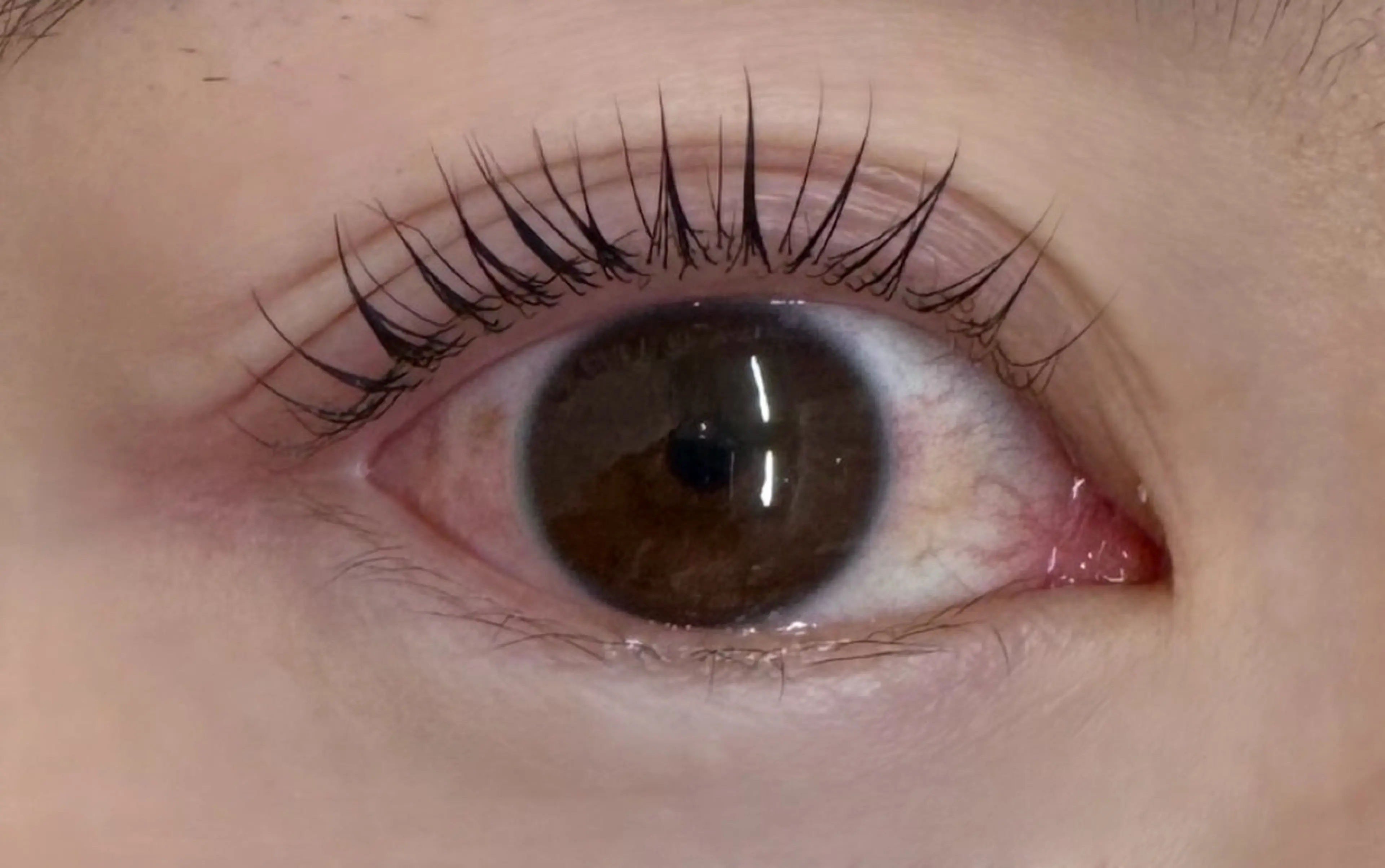 マツエク・マツパ 一重×まつ毛パーマ KANGOL BEAUTY SALON Eyelash アルカキット錦糸町店所属・板谷 弥生のマツエク・マツパデザイン